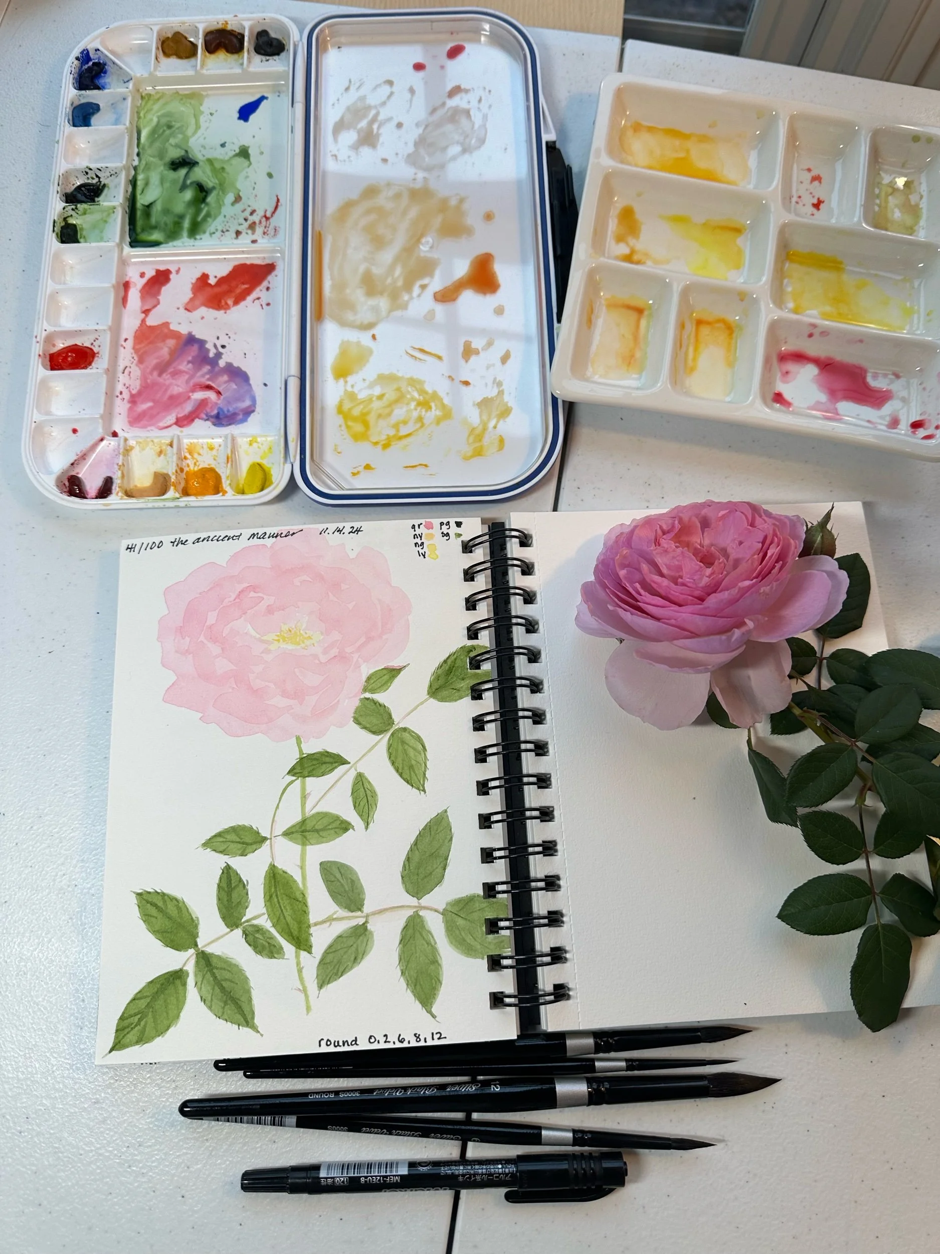Wednesday Watercolor Workshop - July 22, 2026