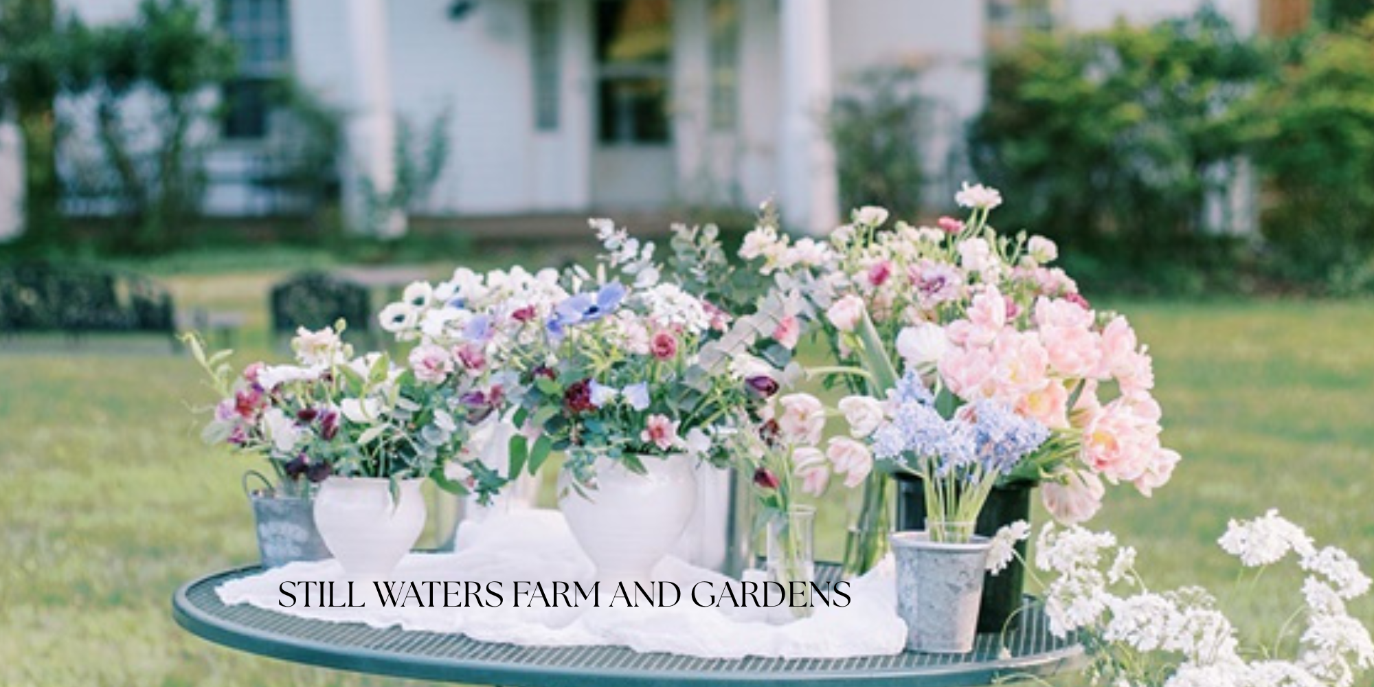 STILL WATERS FARM AND GARDENS 2000 x 1000 in front of FH.png