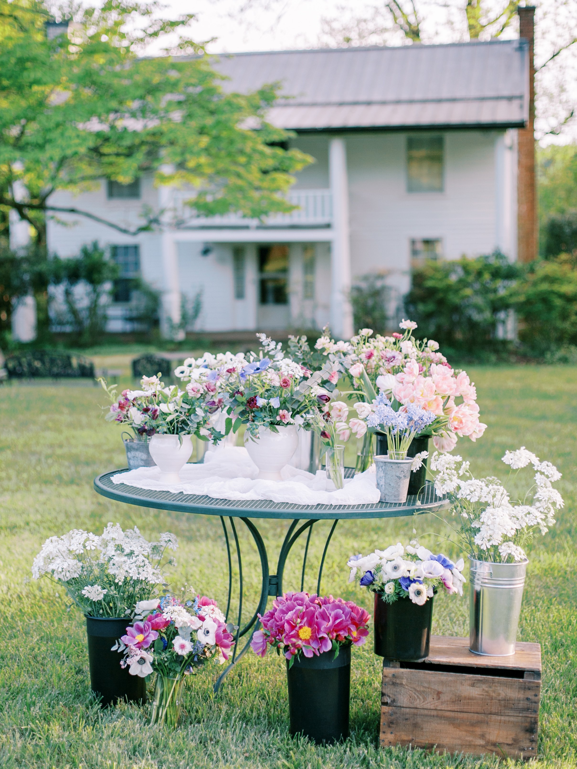 Heather Payne Photo_Still Waters Farm-143.jpg