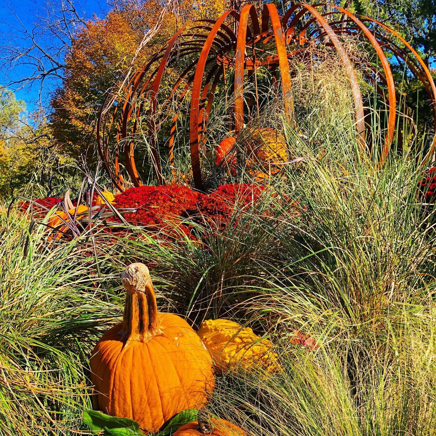 MoBot still looking fabulous in the fall! Where have you been safely getting out and about?