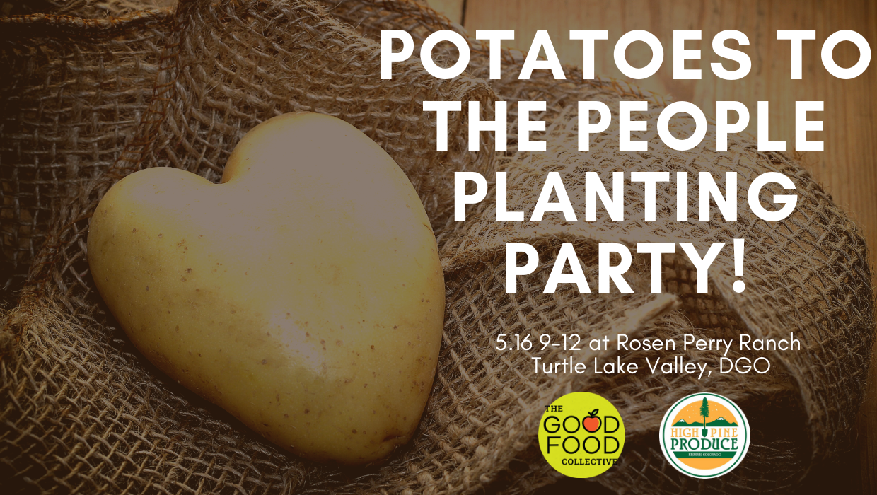 We will be having a harvesting party soon! Get in touch if you’d like to join in the fun.