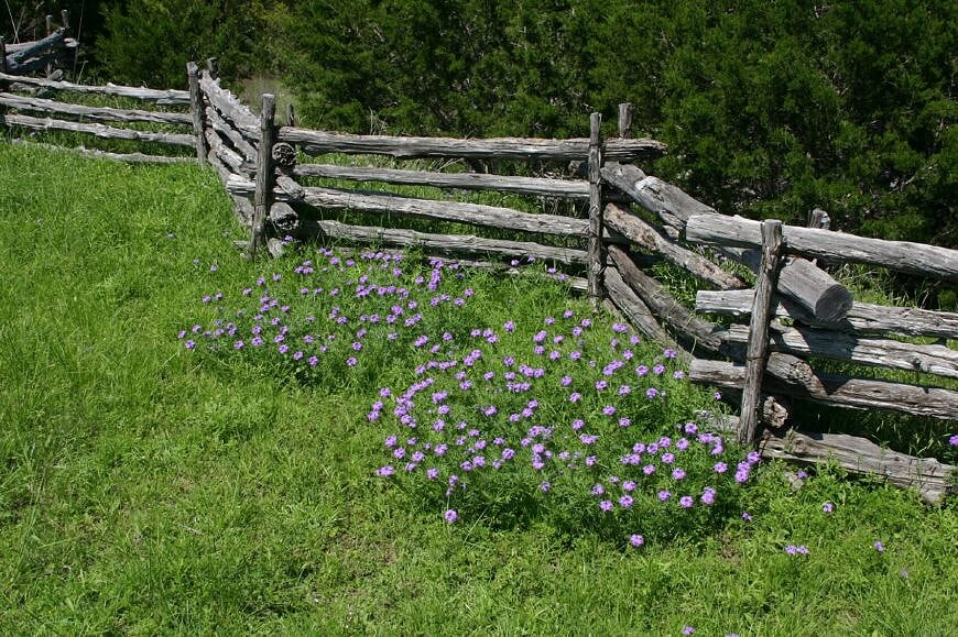 Old split-rail style fence.jpg