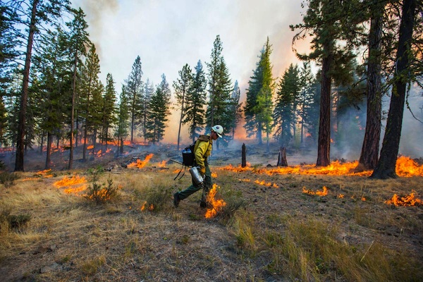 controlled-burn600.jpg