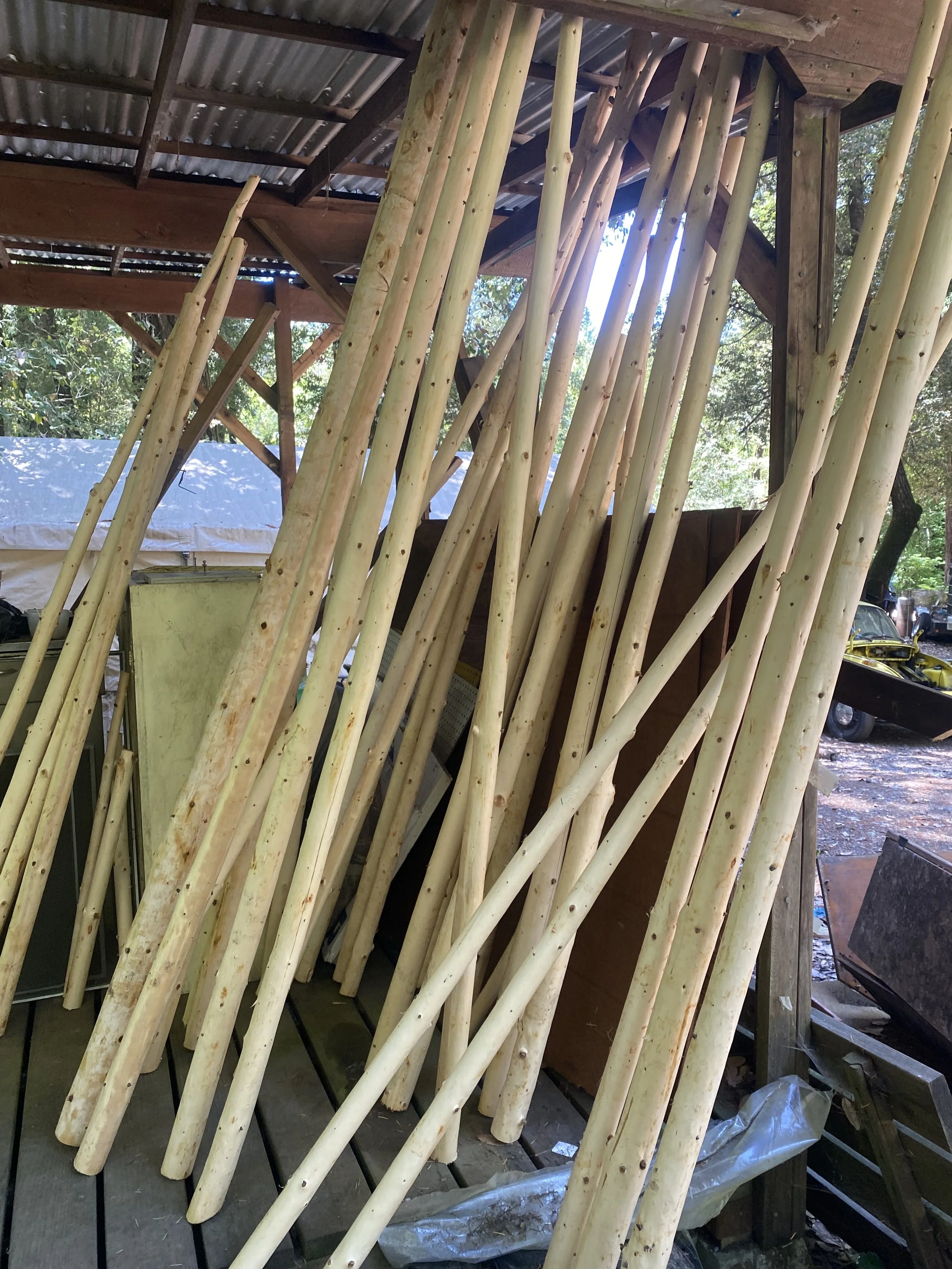 Fifth Working Group Meeting