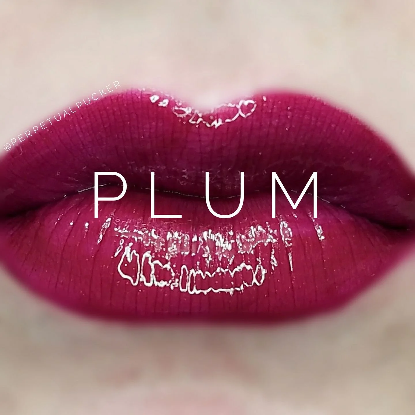 Plum LipSense