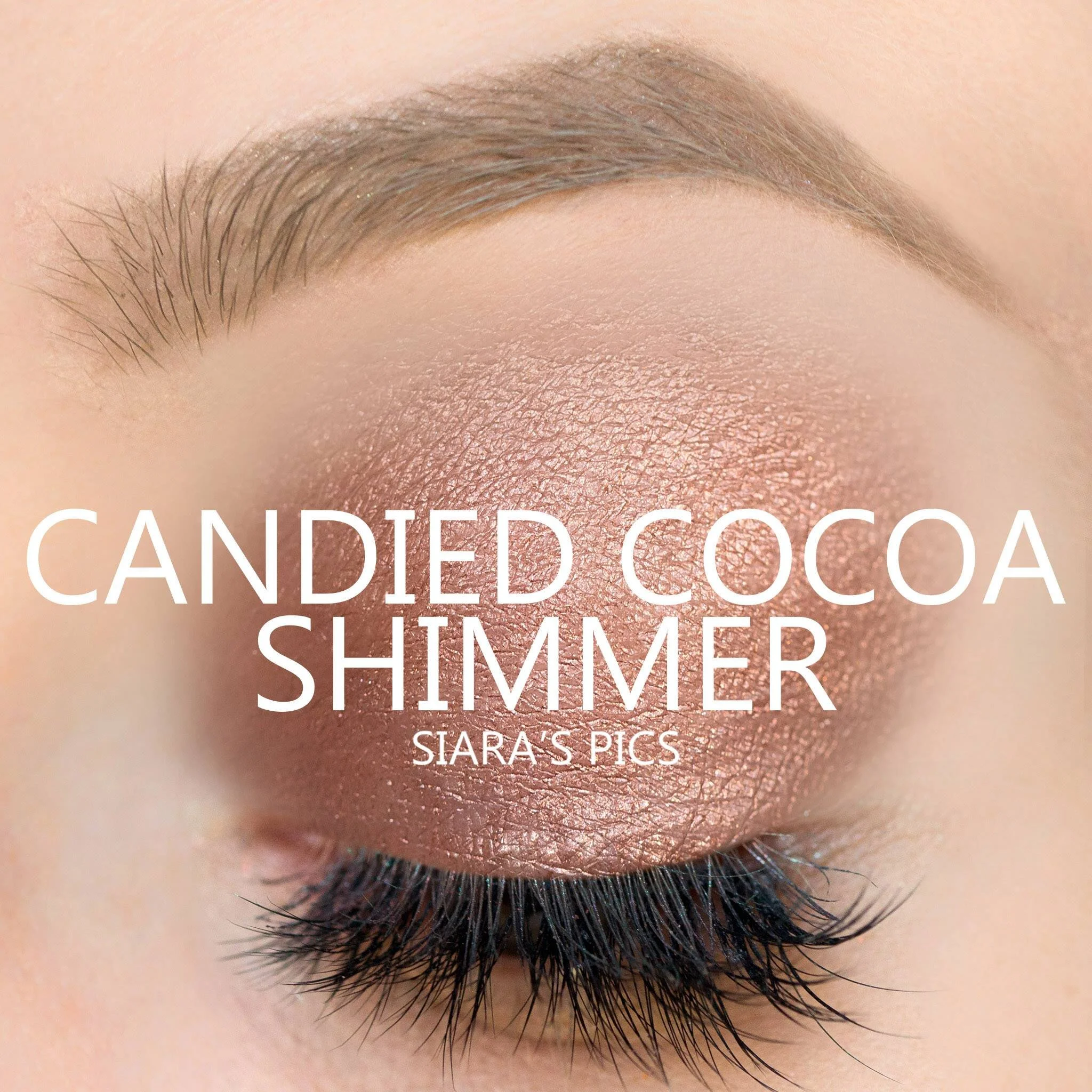 Candied Cocoa Shimmer ShadowSense