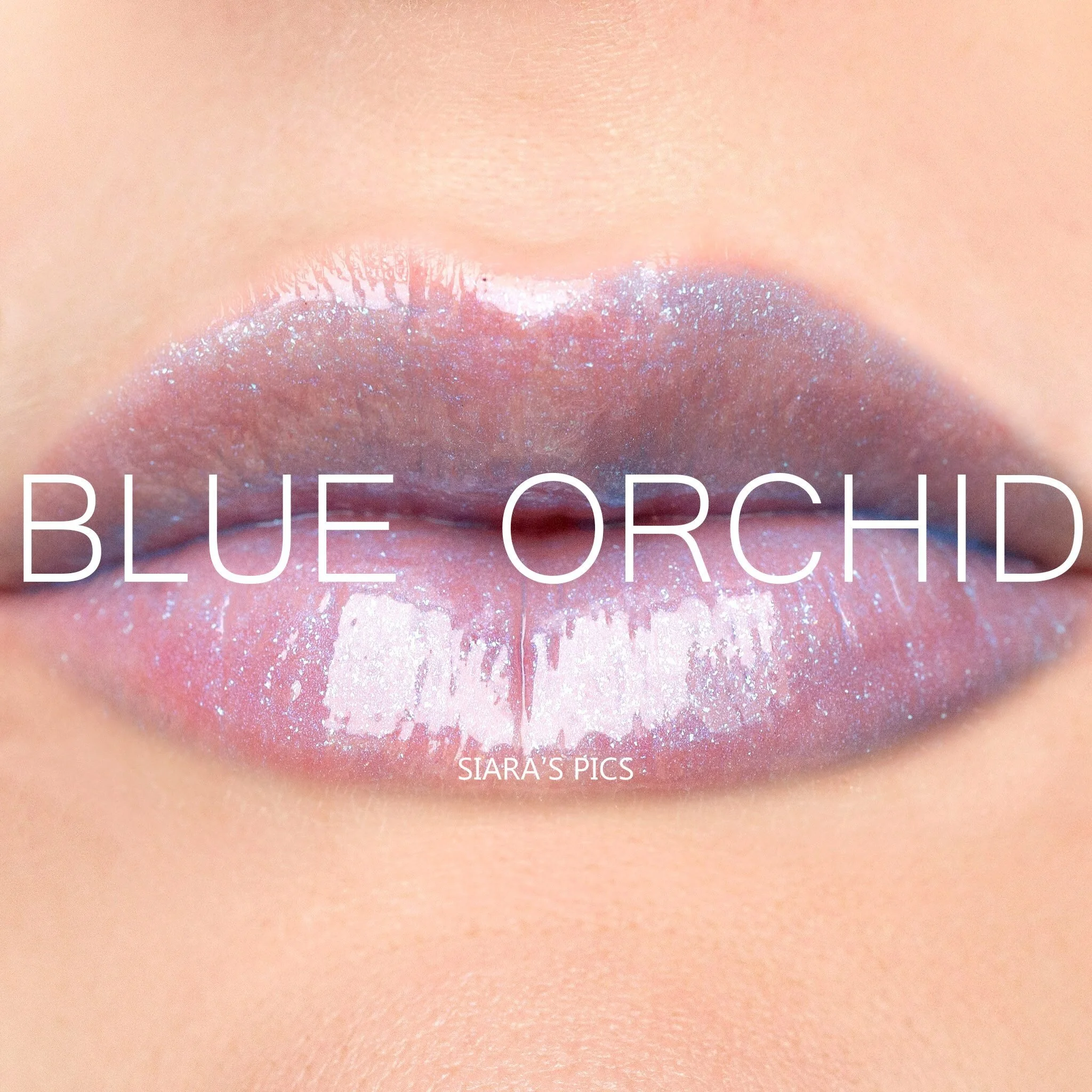 Blue Orchid Gloss