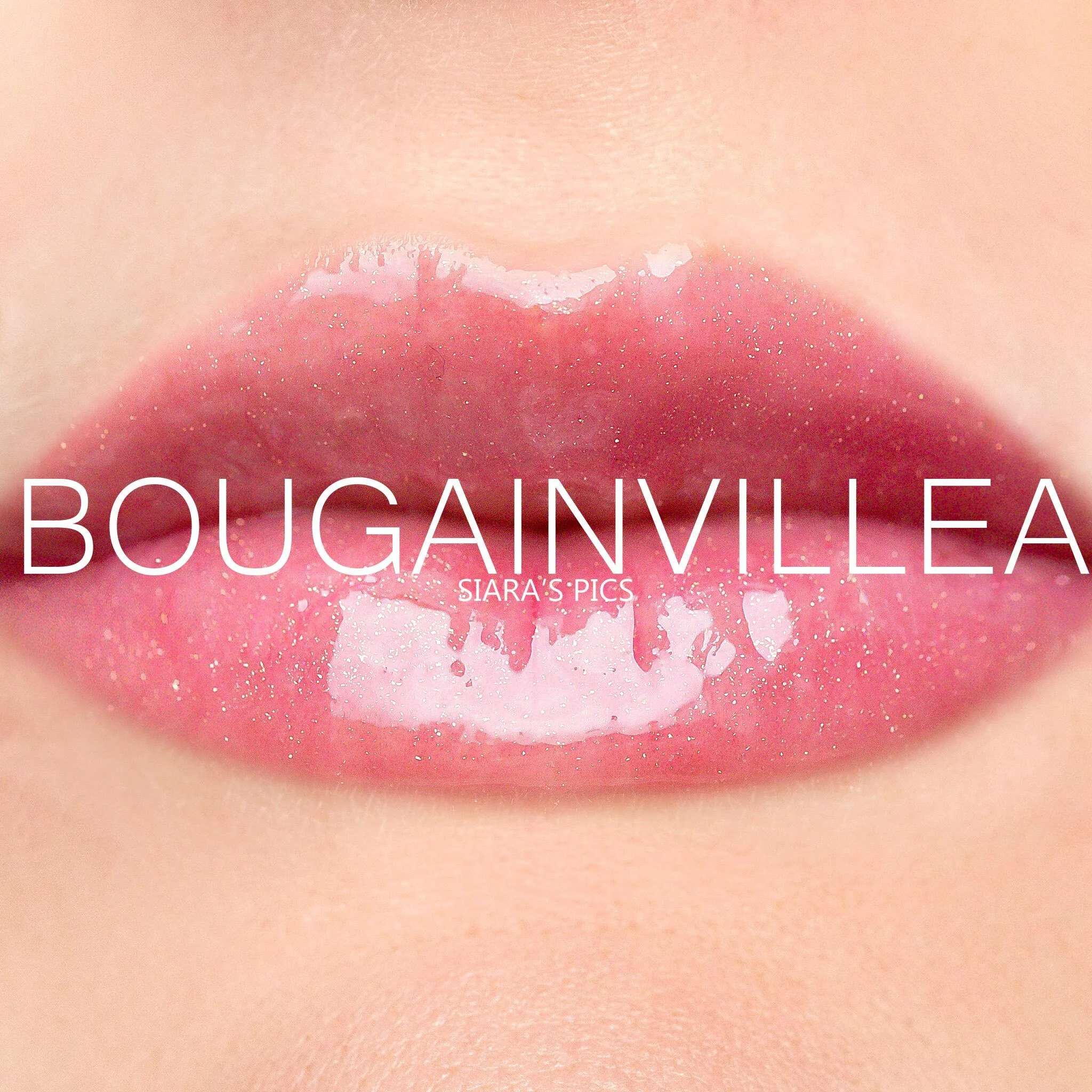 Bougainvillea Gloss