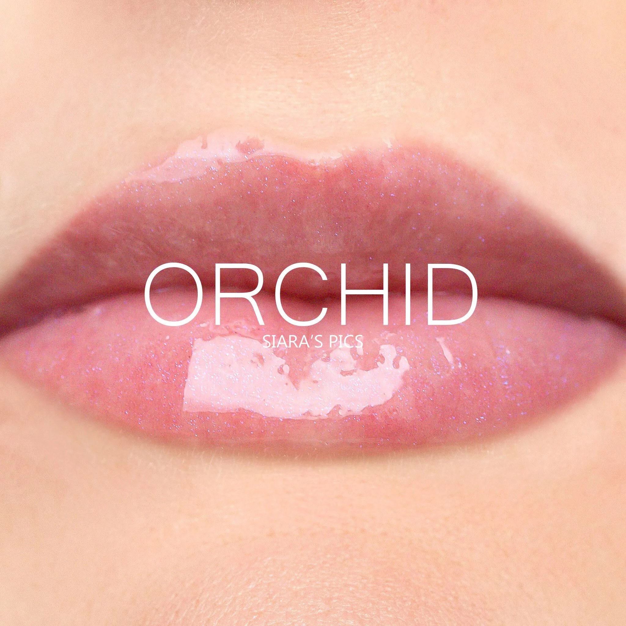 Orchid Gloss