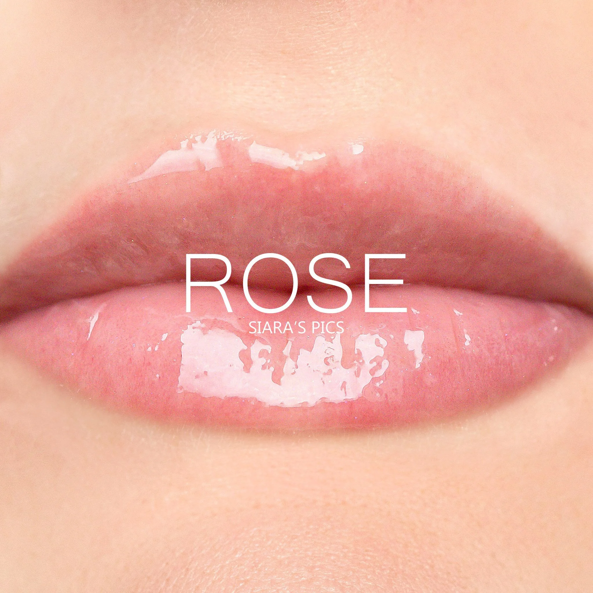 Rose Gloss