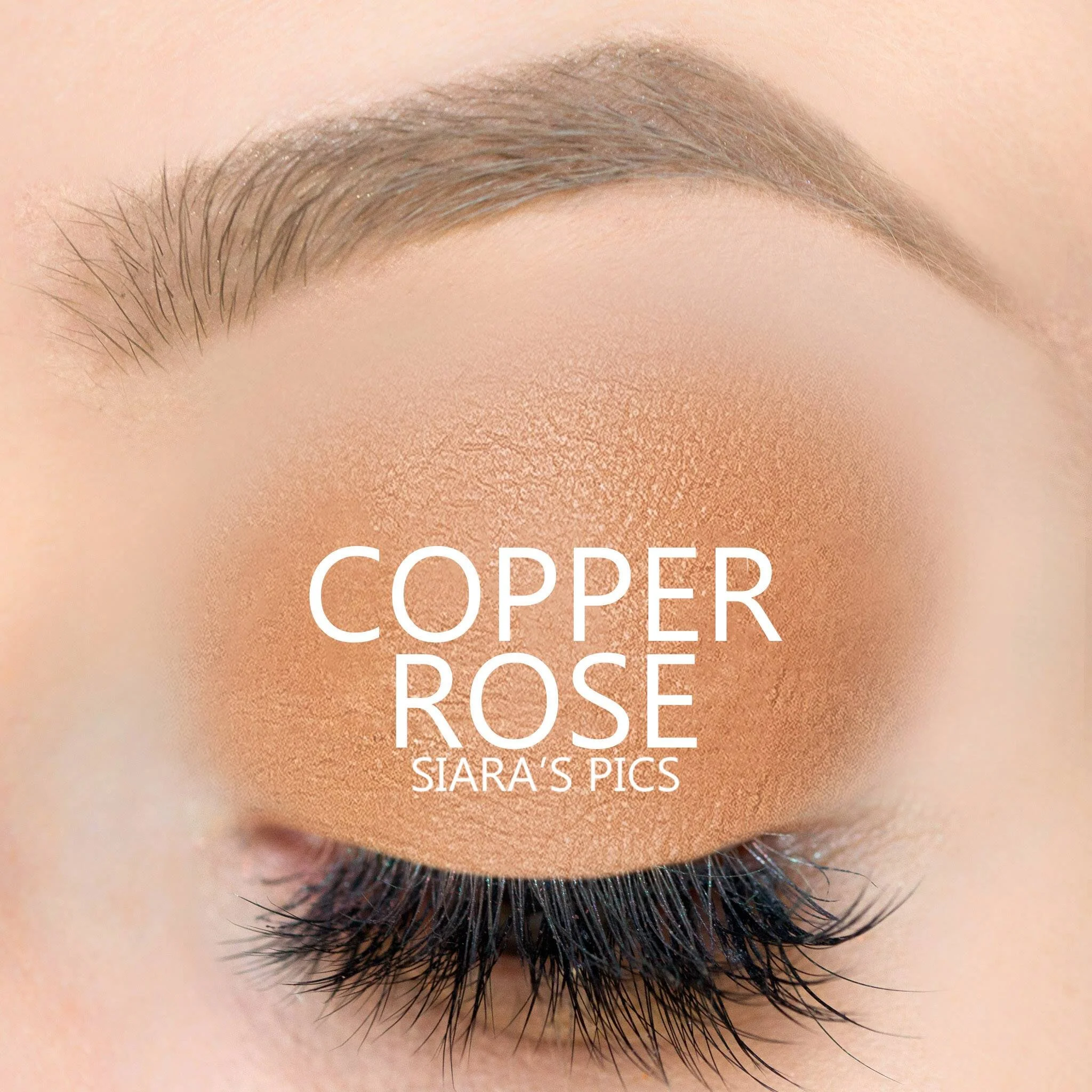 Copper Rose ShadowSense