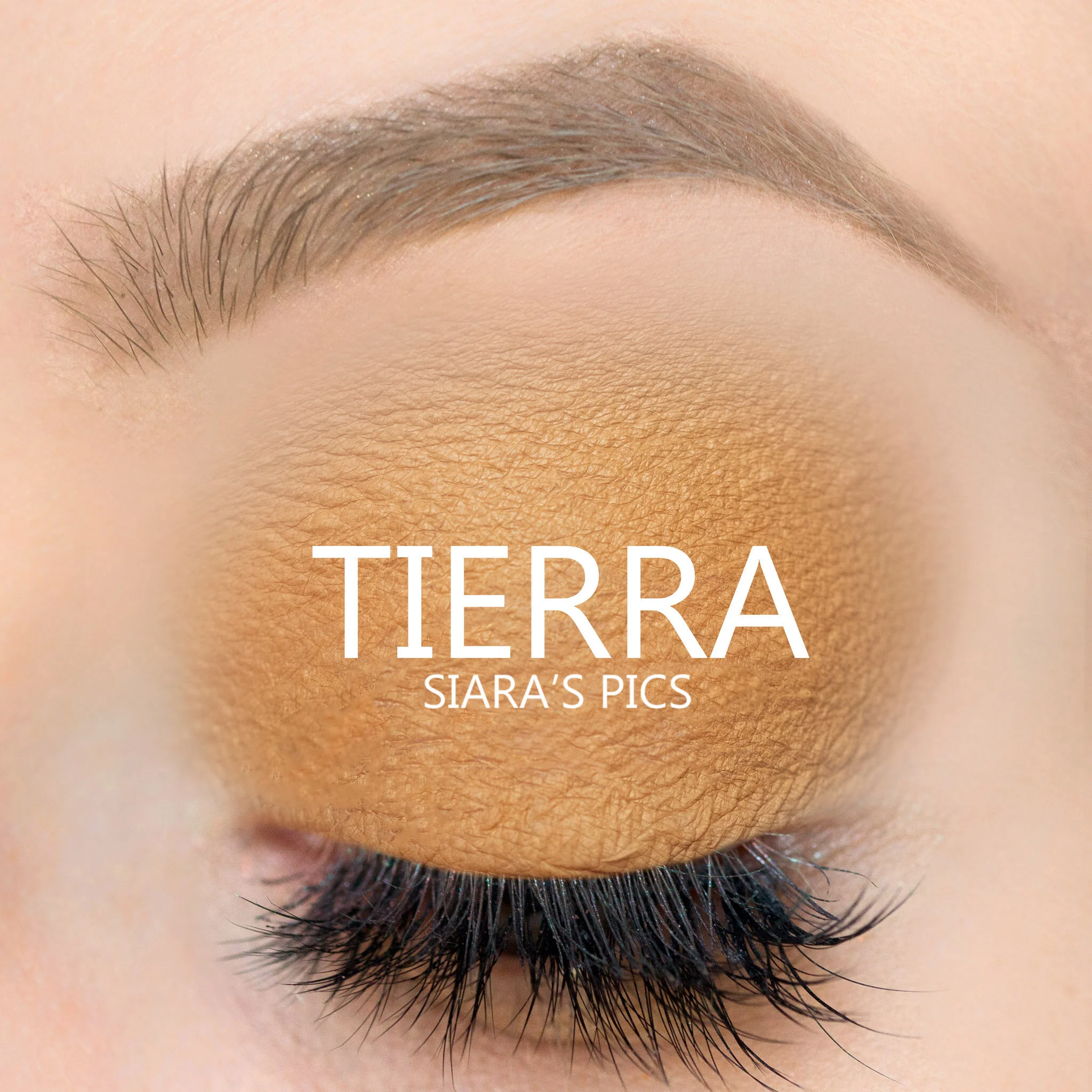 Tierra ShadowSense