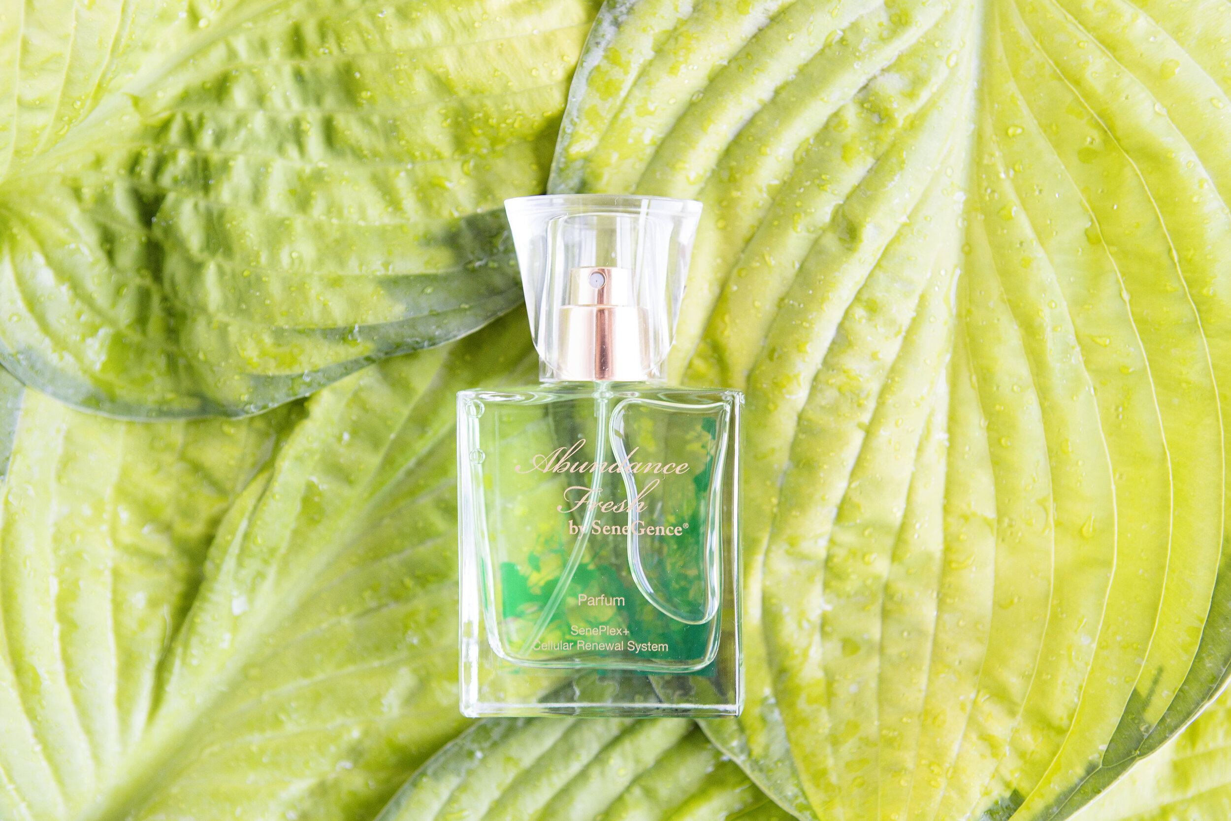 Fresh Abundance Parfum