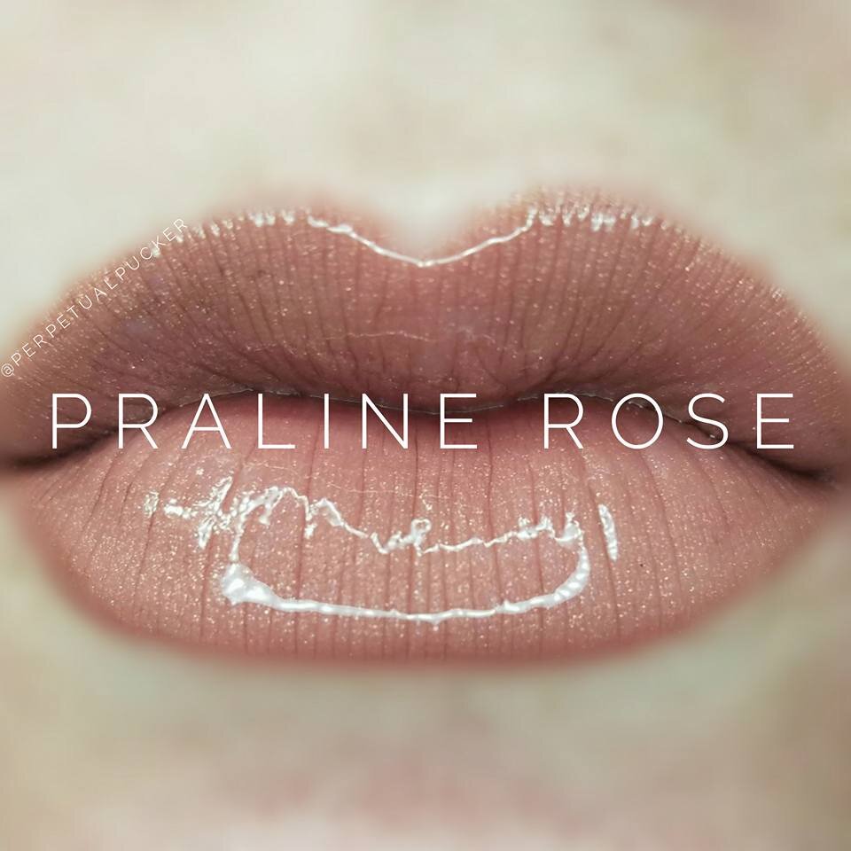 Praline Rose.jpg