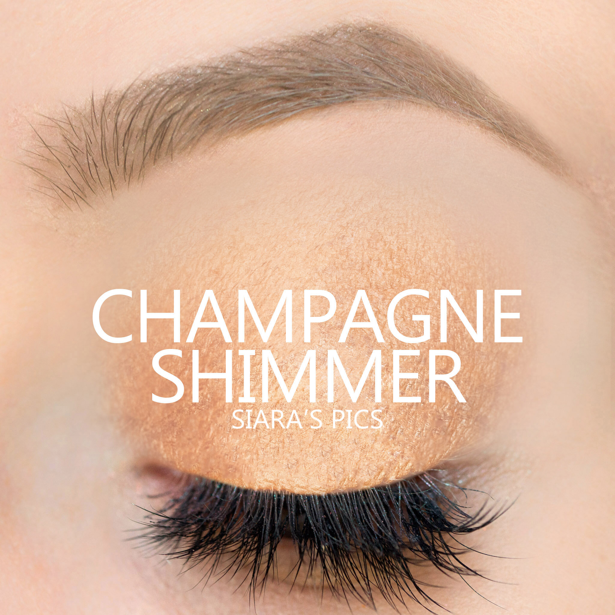 Champagne Shimmer.jpg