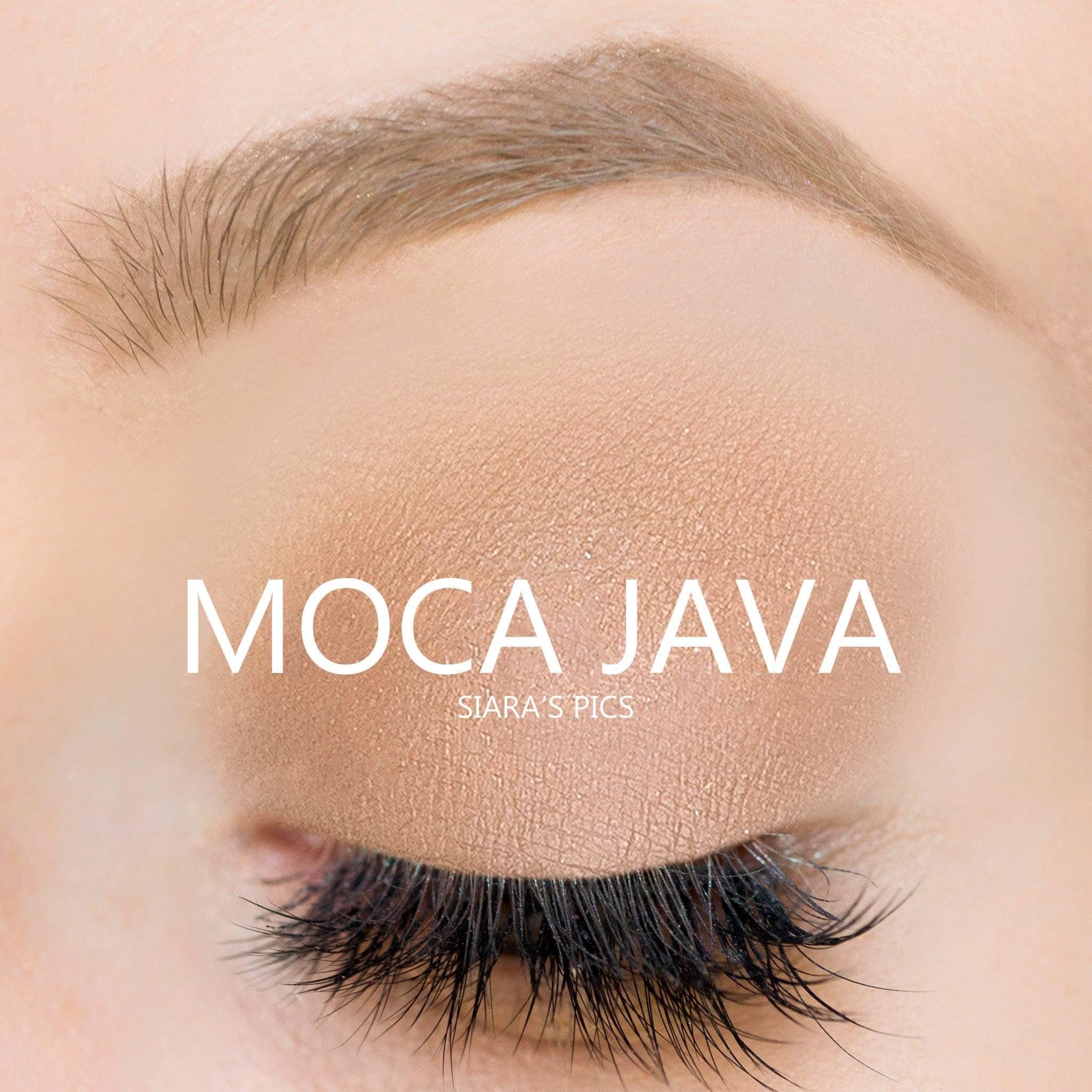 moca java.jpg