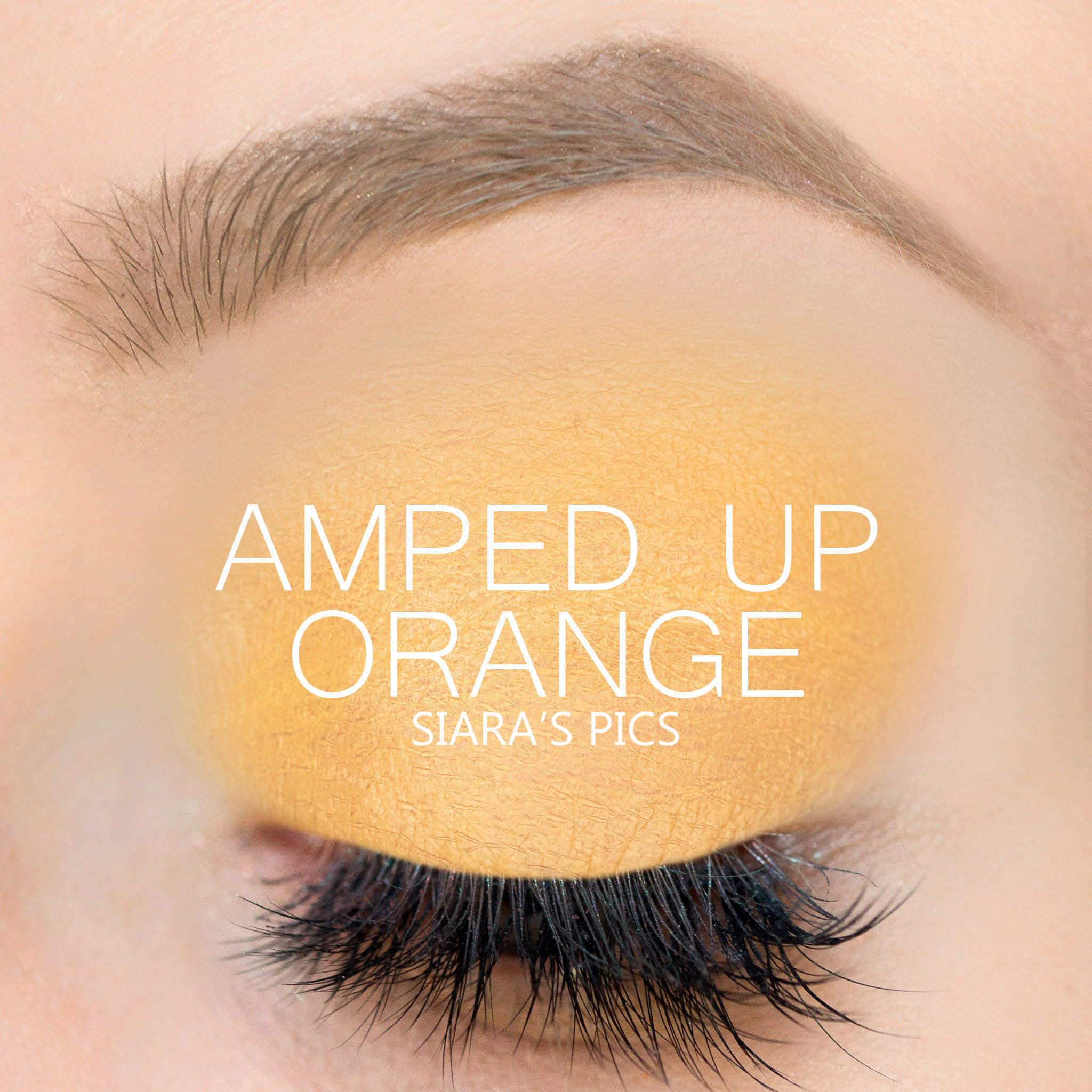 Amped Up Orange ShadowSense