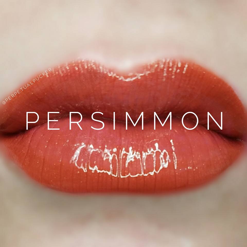  Persimmon LipSense compared to Broadway Bronze LipSense. 
