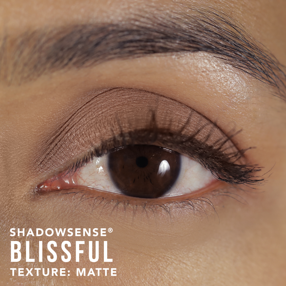 Blissful ShadowSense Merry & Bright Holiday Mini Cosmetics Collection SeneGence Ashley Cejka Medium.png