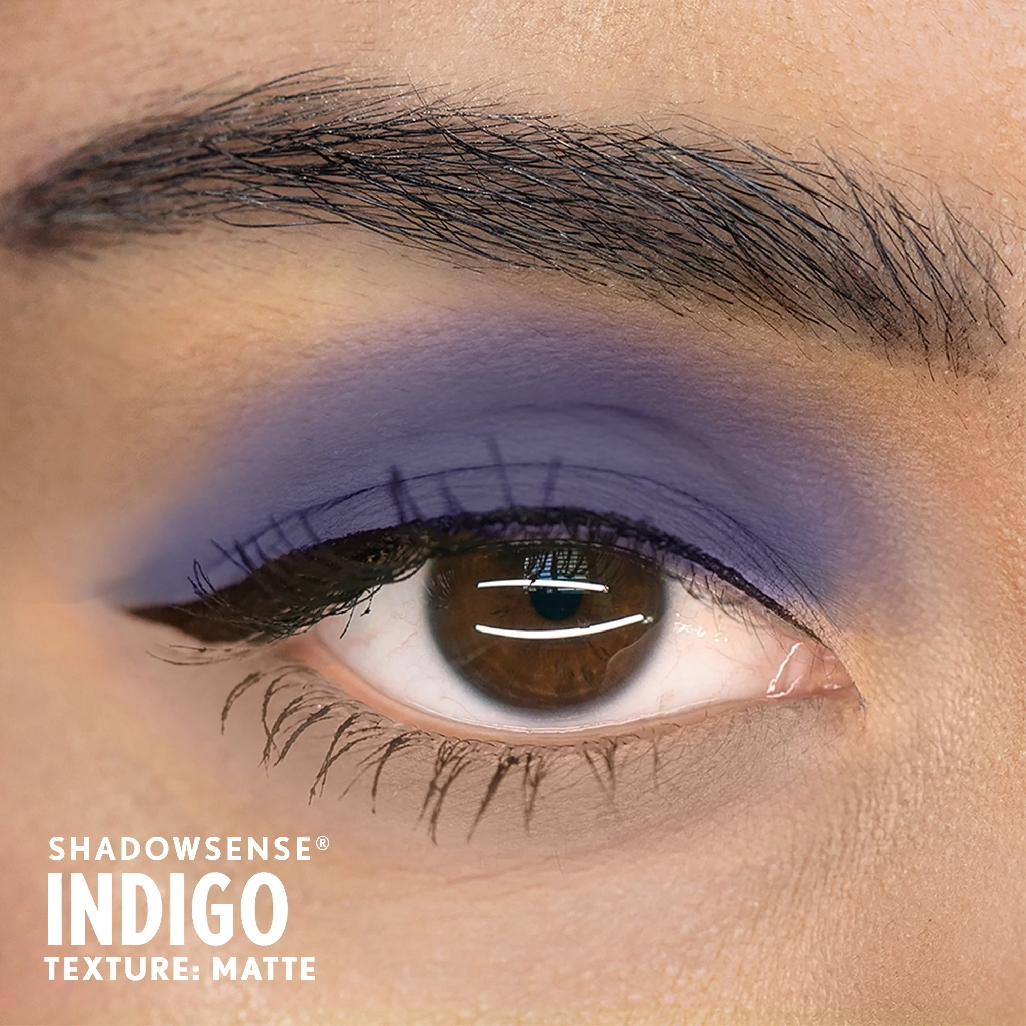 indigo-shadowsense-senegence-ashley-cejka-medium.jpg