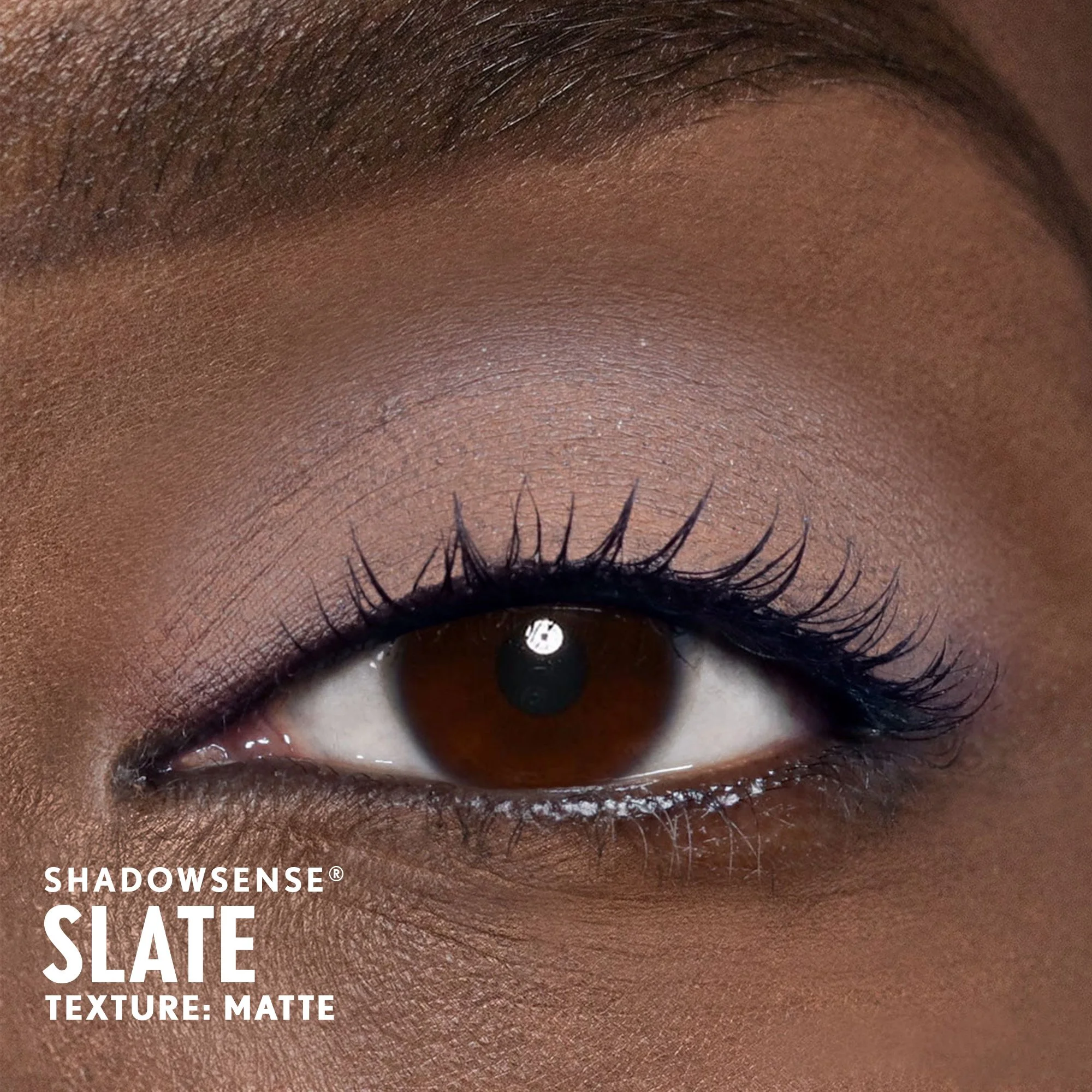 slate-shadowsense-deep-skin-tone-senegence-ashley-cejka.jpg