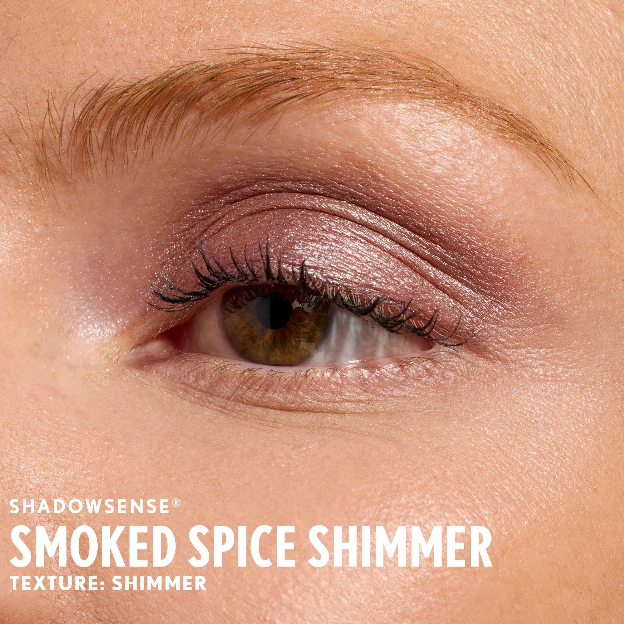 smoked-spice-shimmer-shadowsense-senegence-ashley-cejka-light.jpg