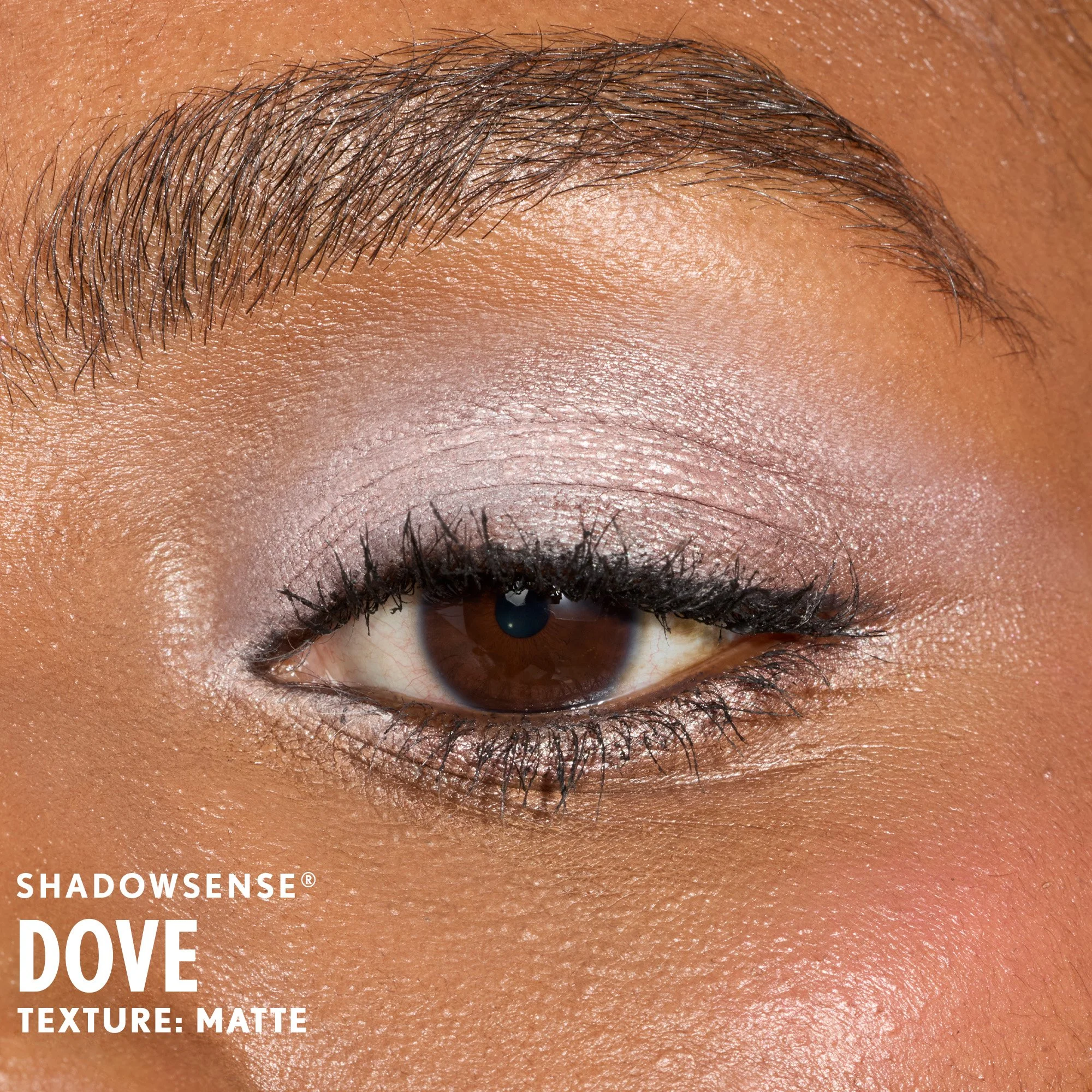 dove-shadowsense-senegence-ashley-cejka-deep.jpg