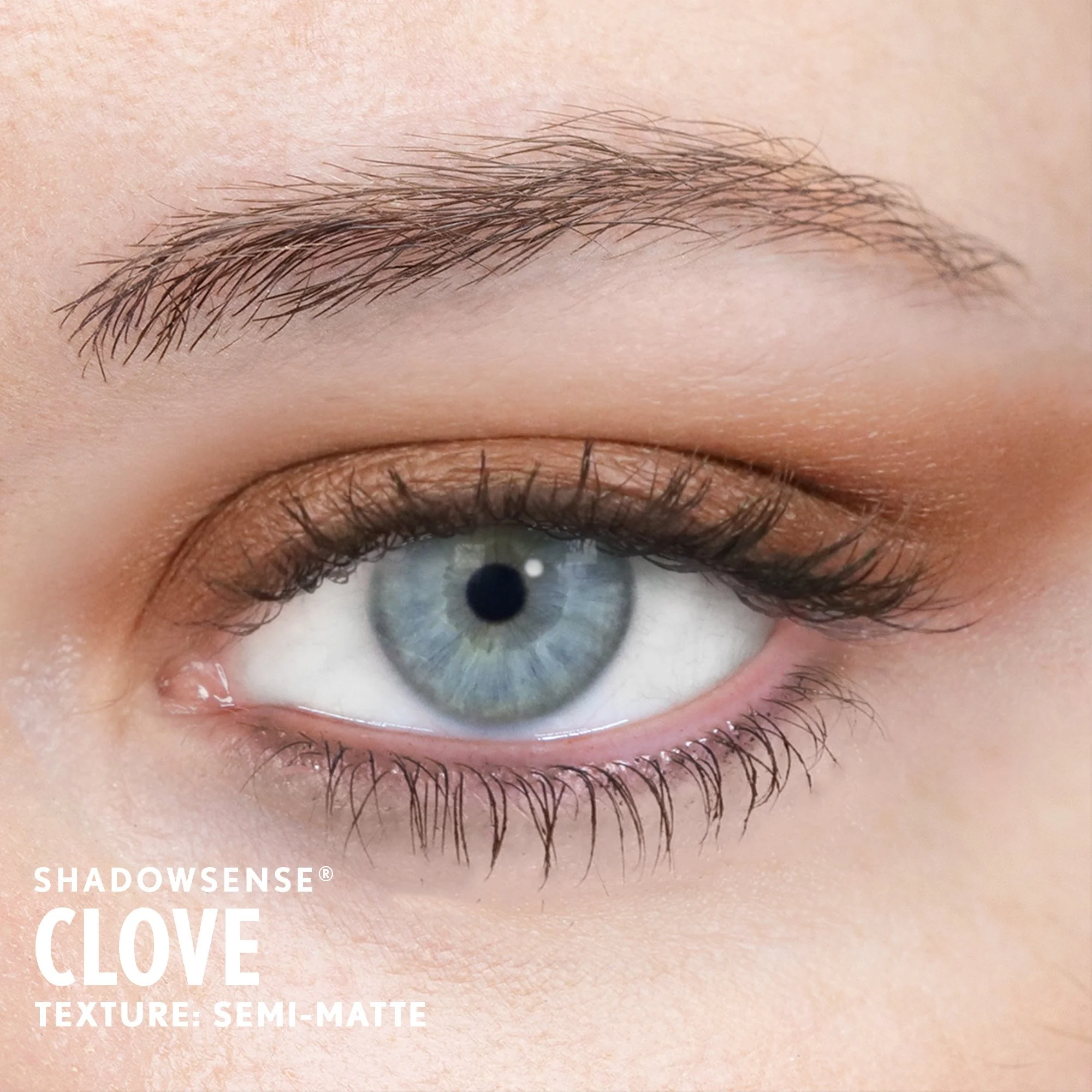 clove-shadowsense-light-senegence-ashley-cejka.jpg