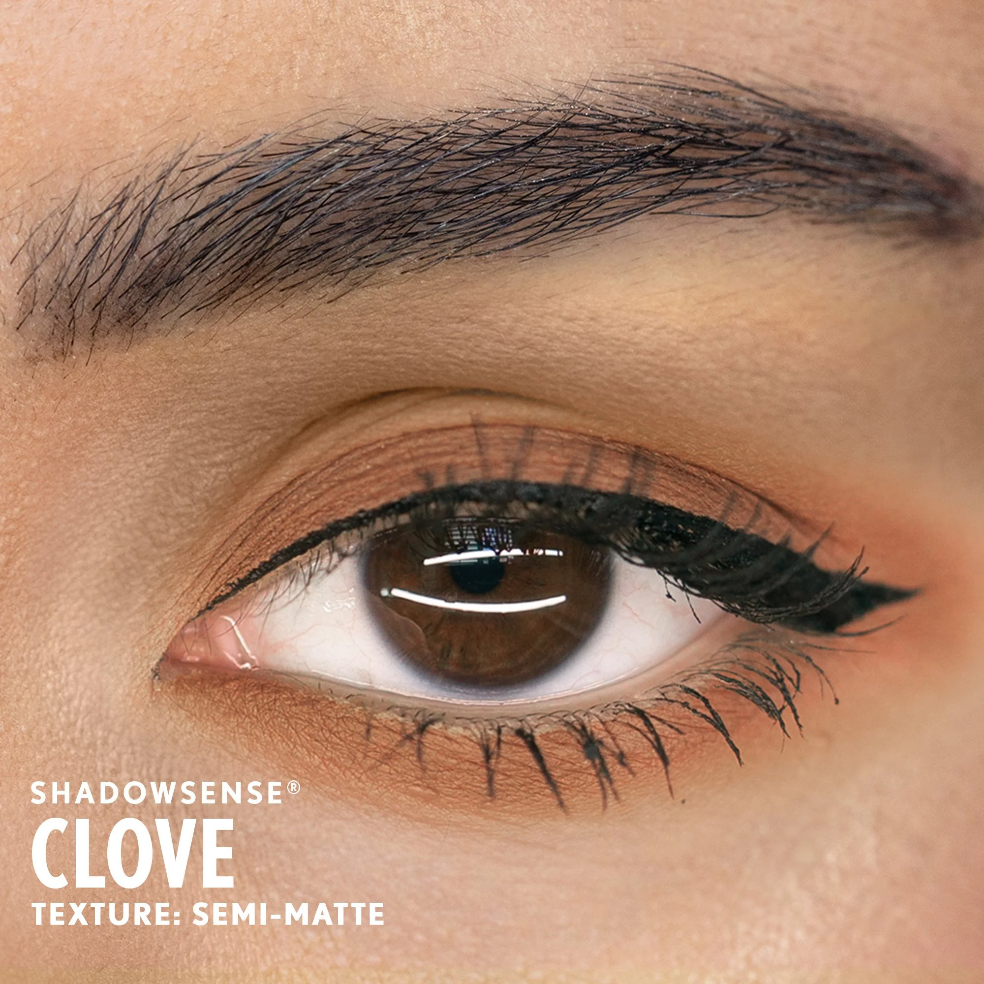 clove-shadowsense-medium-senegence-ashley-cejka.jpg