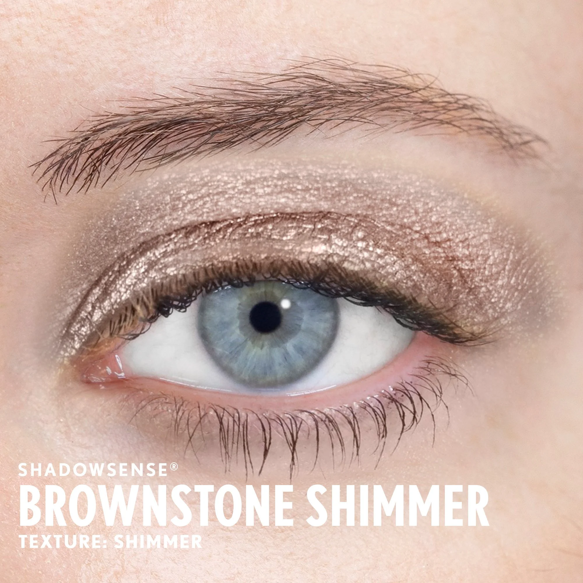 brownstone-shimmer-shadowsense-light-senegence-ashley-cejka.jpg