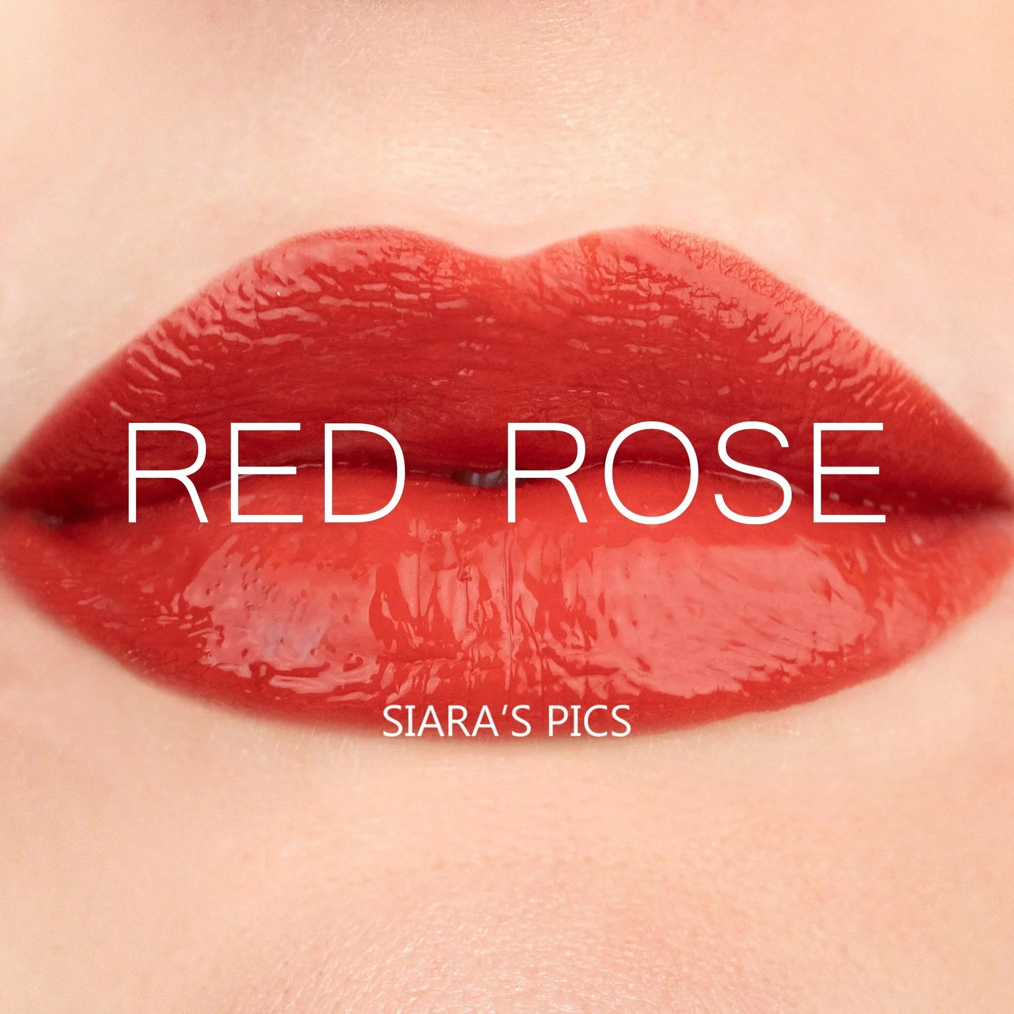 Red+Rose.jpg