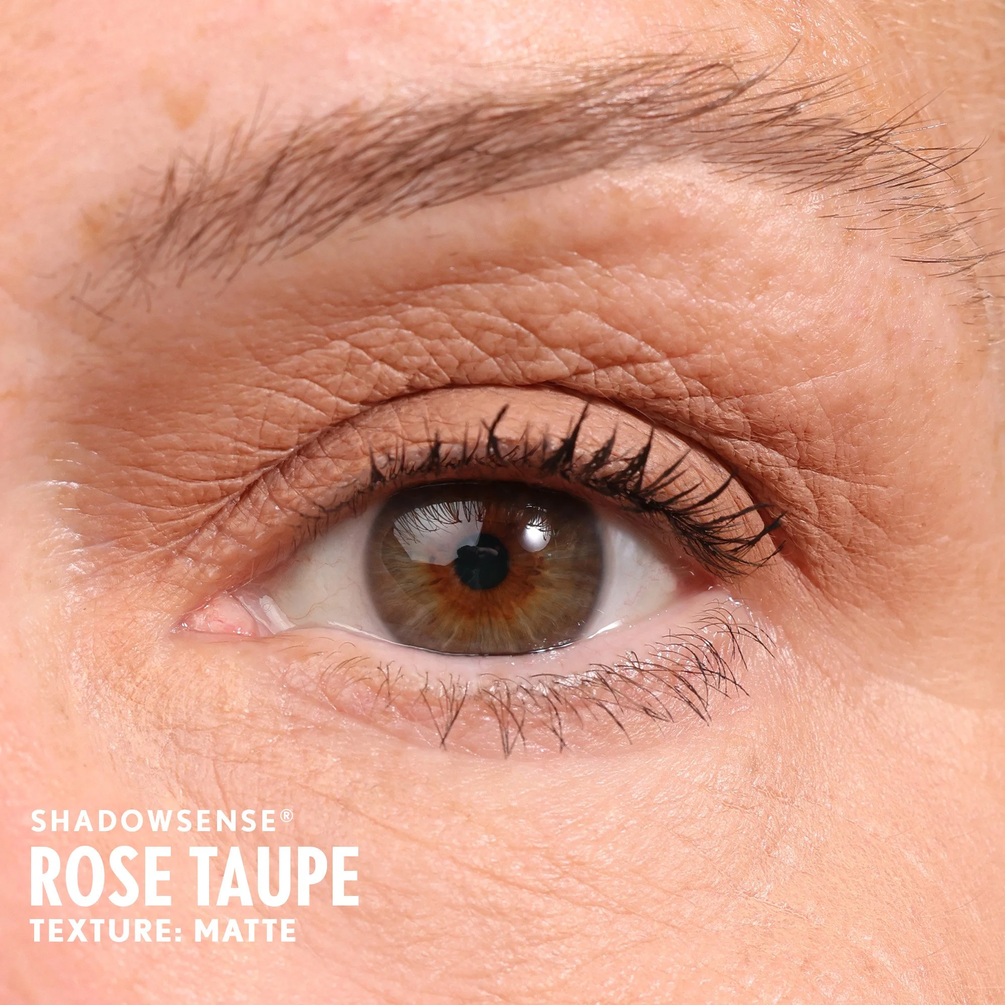 rose-taupe-shadowsense-light-senegence-ashley-cejka.jpg