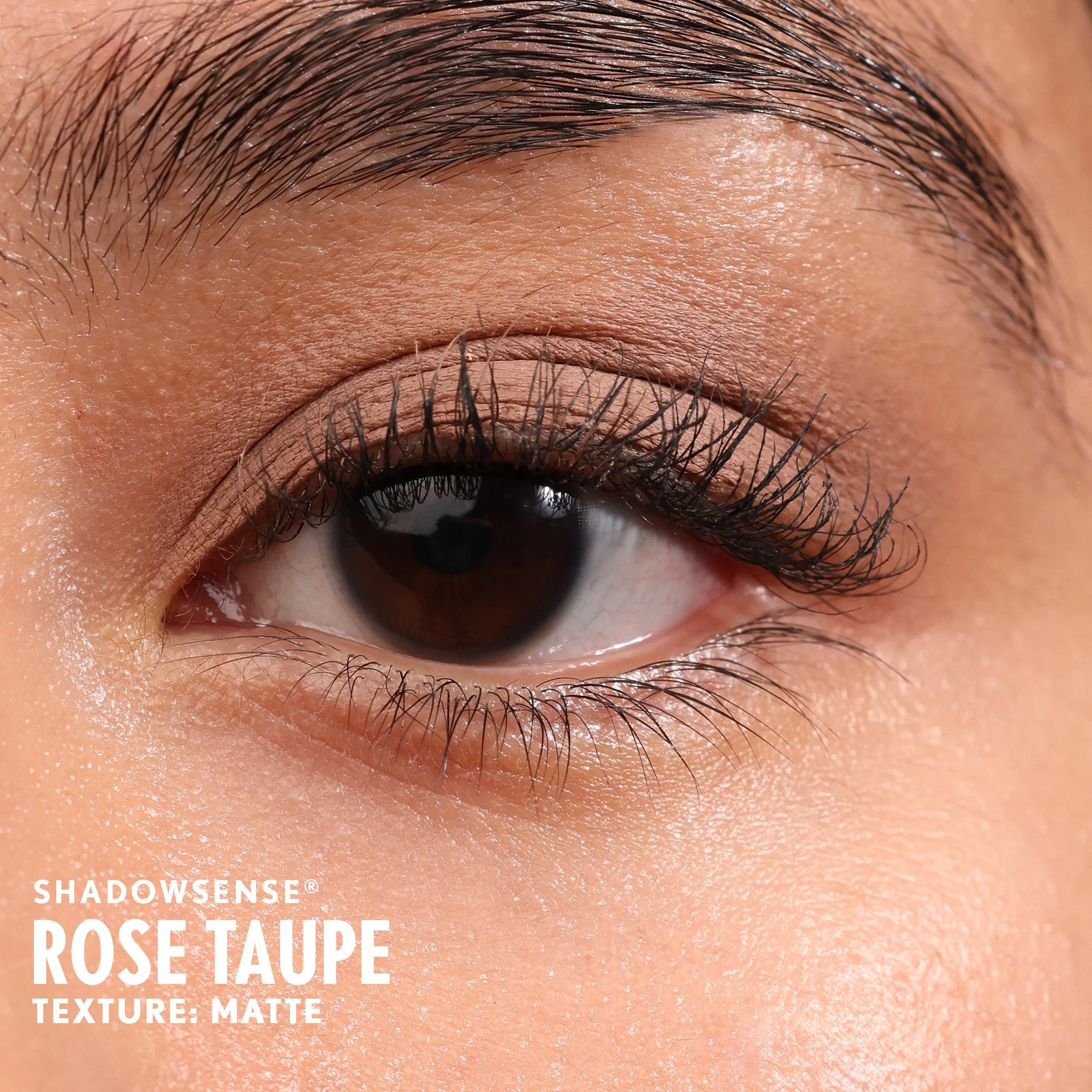 rose-taupe-shadowsense-medium-senegence-ashley-cejka.jpg