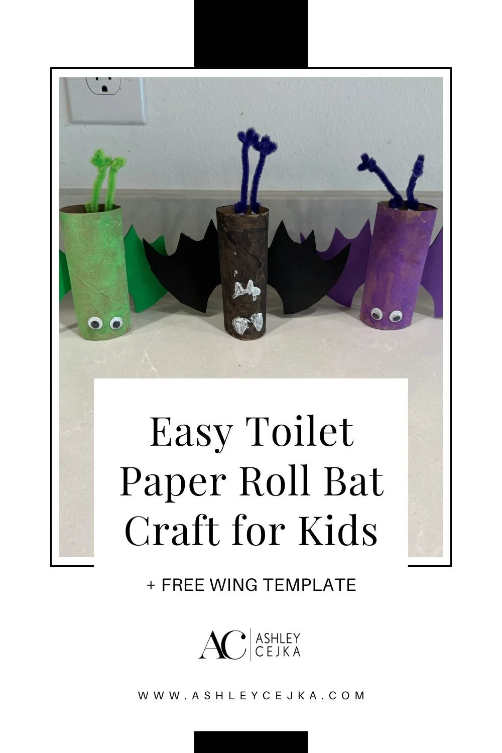 Easy Toilet Paper Roll Bat Craft for Kids + Free Wing Template