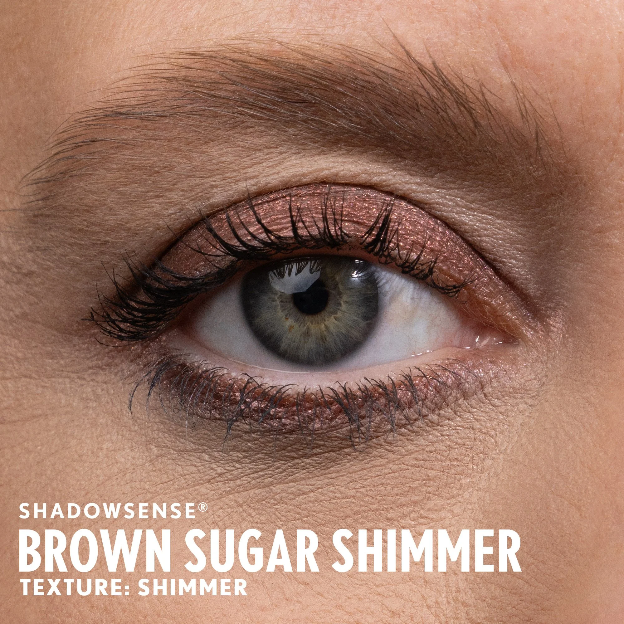 brown-sugar-shimmer-shadowsense-senegence-ashley-cejka-light.jpg