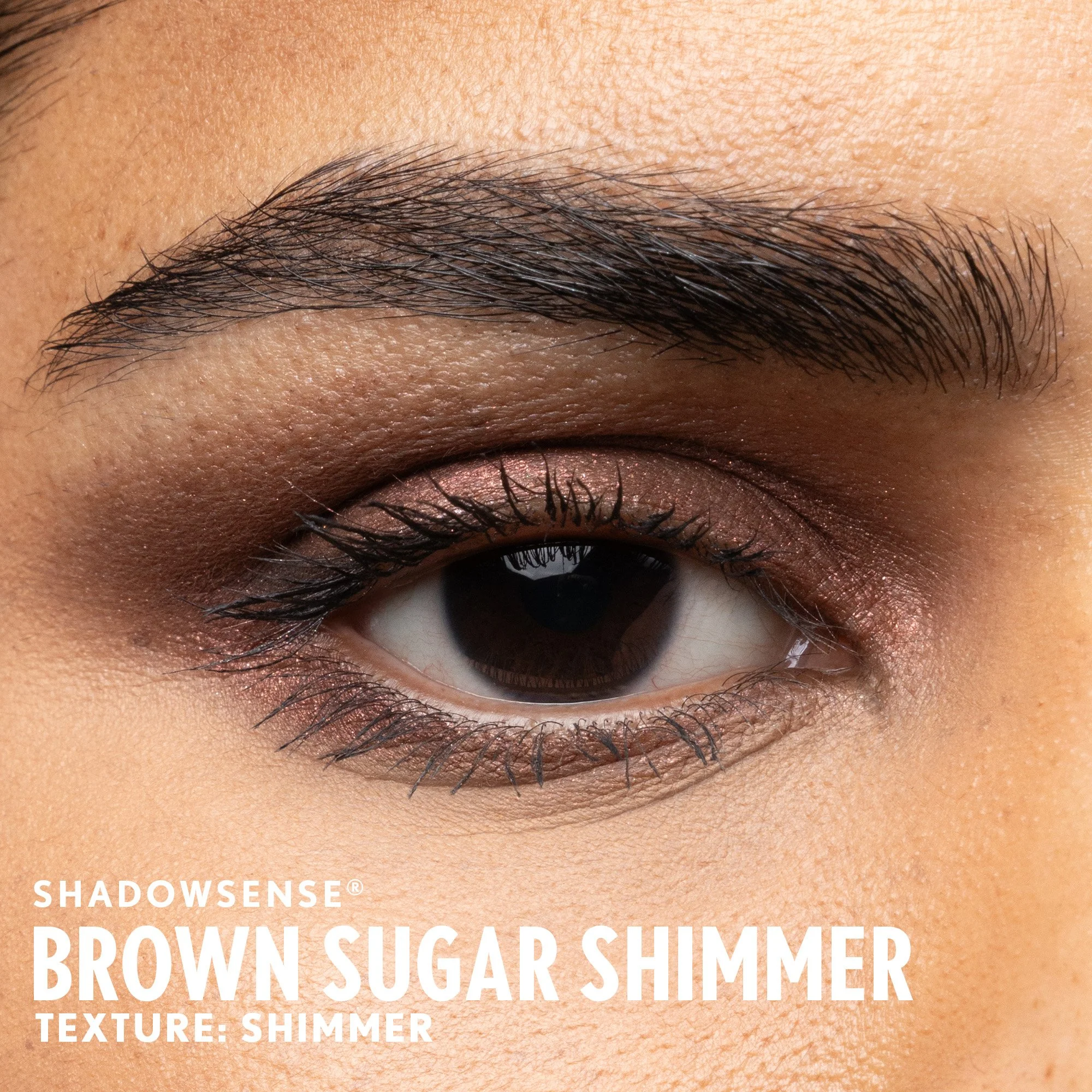 brown-sugar-shimmer-shadowsense-senegence-ashley-cejka-medium.jpg