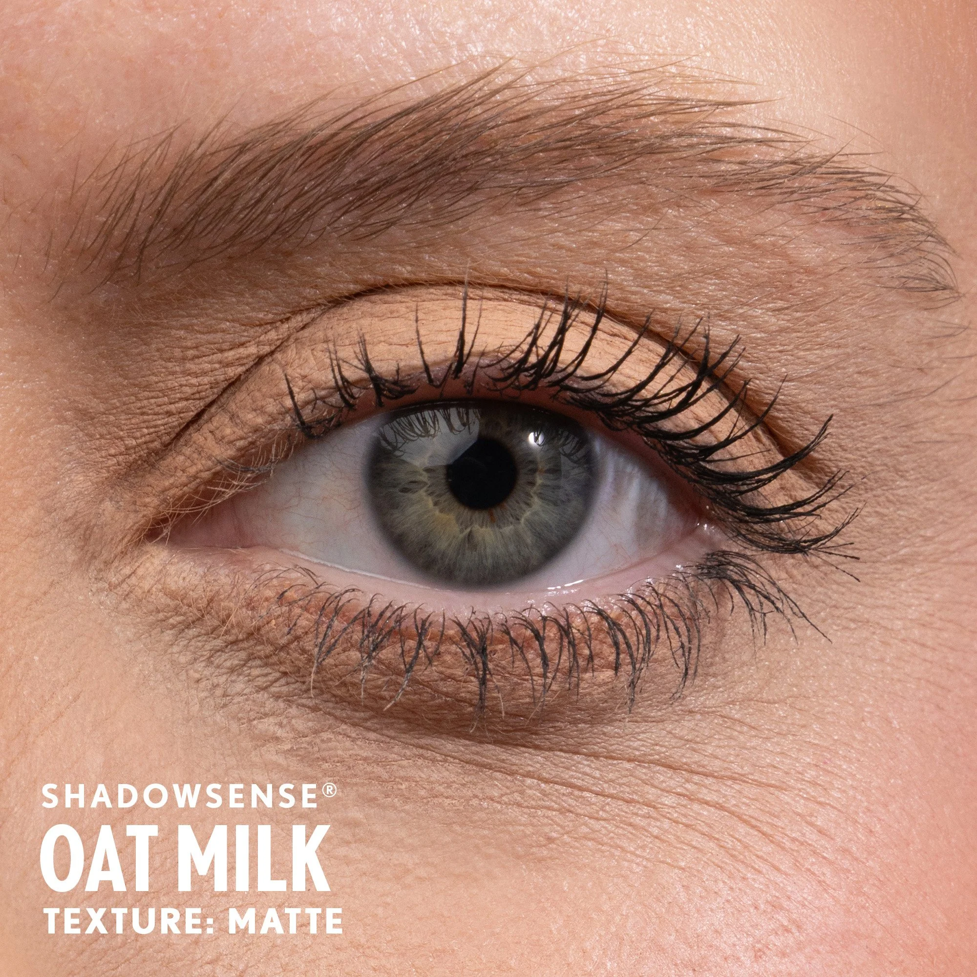 oat-milk-shadowsense-light-senegence-ashley-cejka.jpg