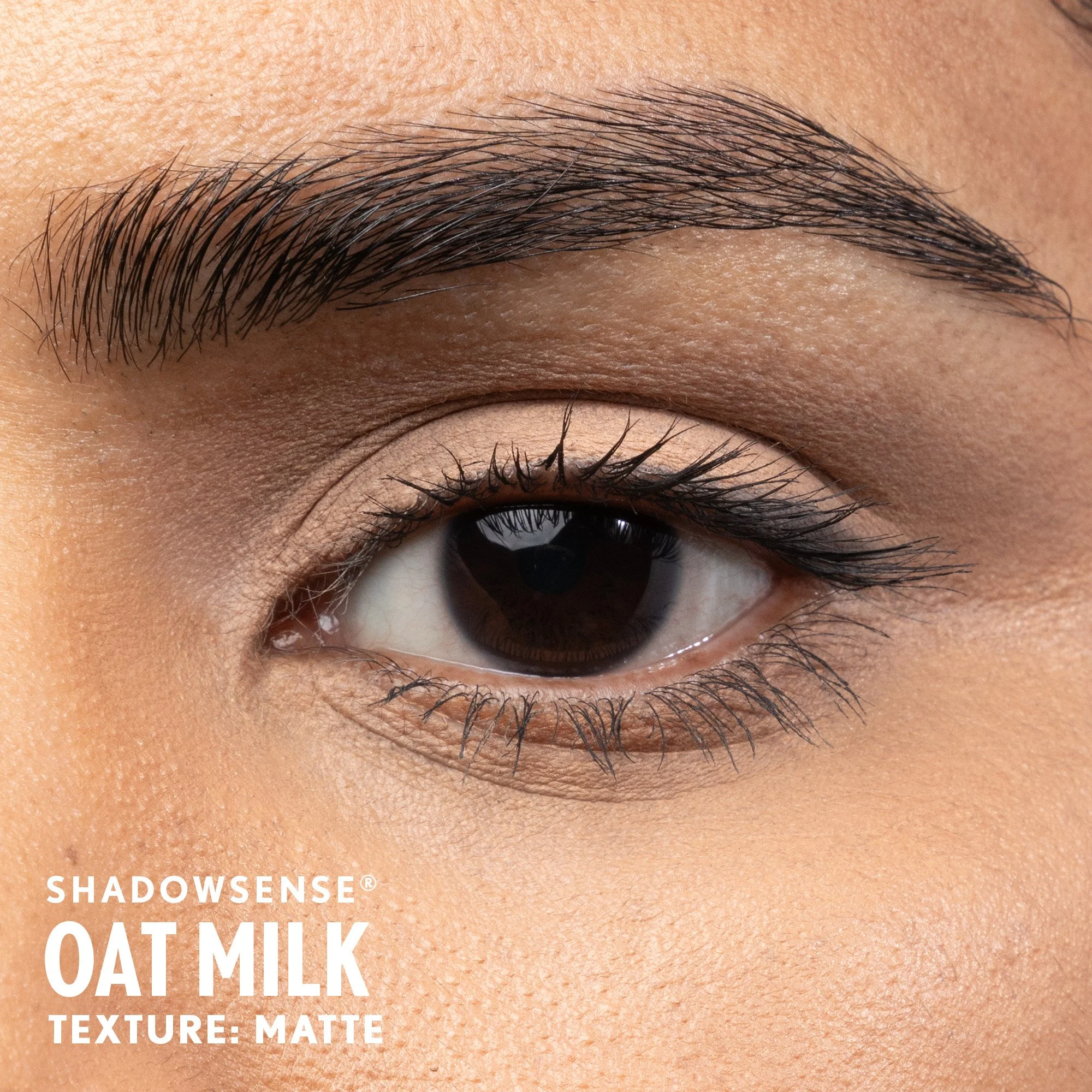 oat-milk-shadowsense-medium-senegence-ashley-cejka.jpg