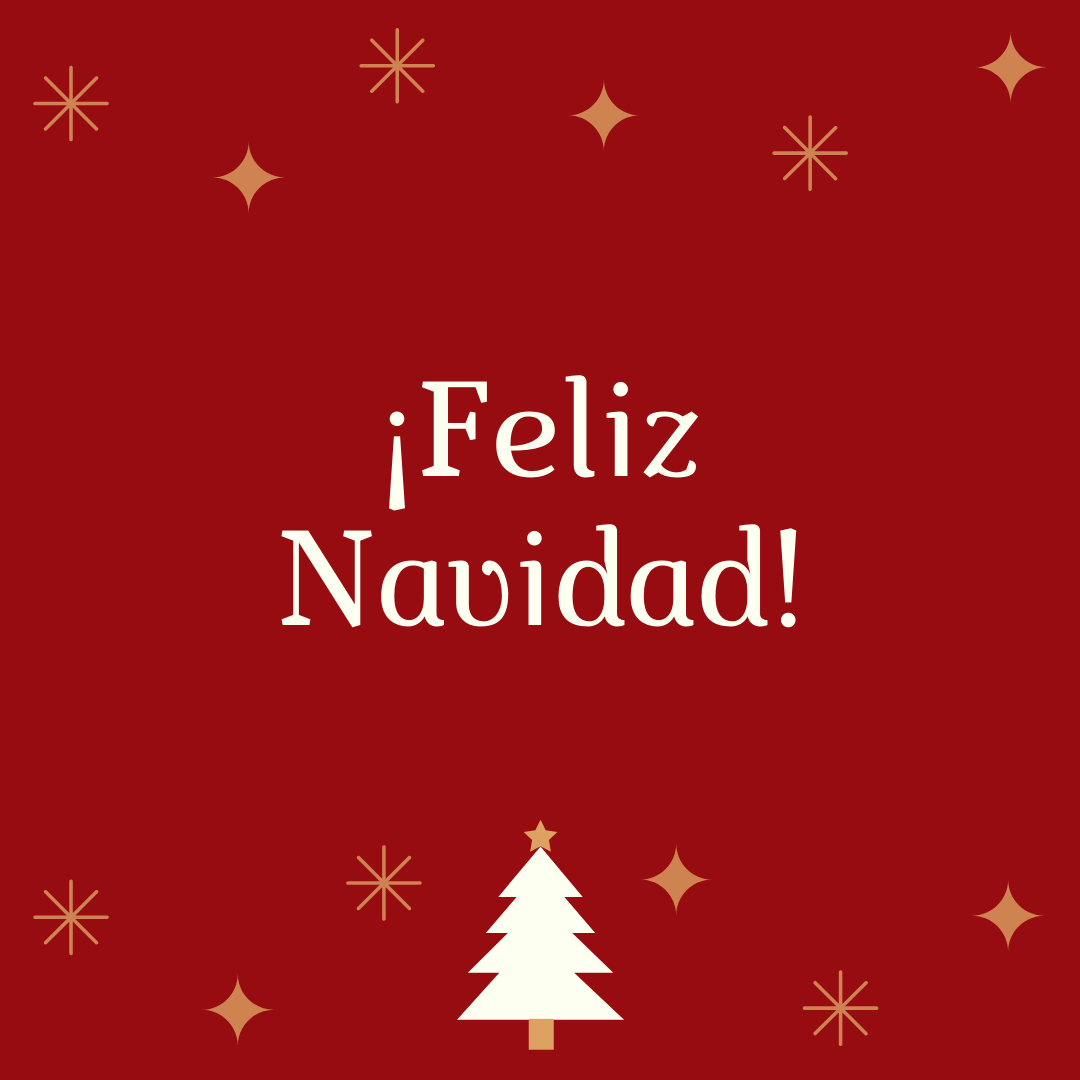Misa de la Solemnidad de la Natividad del Señor