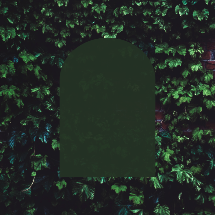 28 Domingo del Tiempo Ordinario