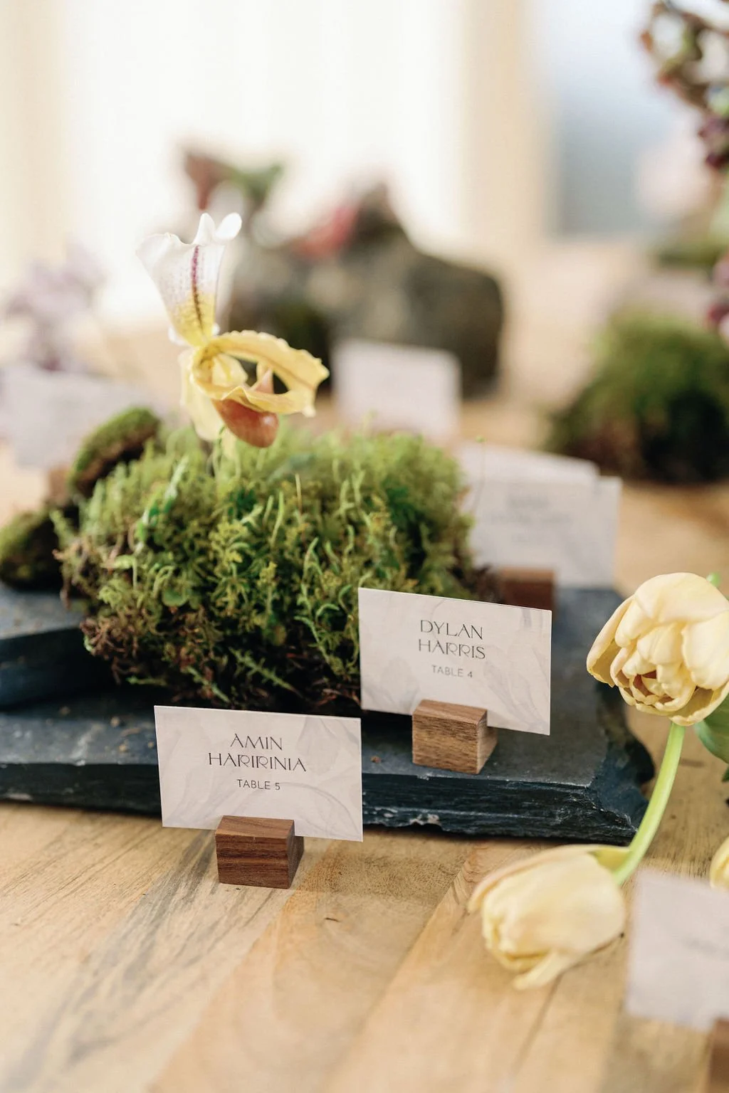 spring-wedding-inspiration-california-wine-country-carneros-san-francisco-modern-florist-orchid-moss.jpg