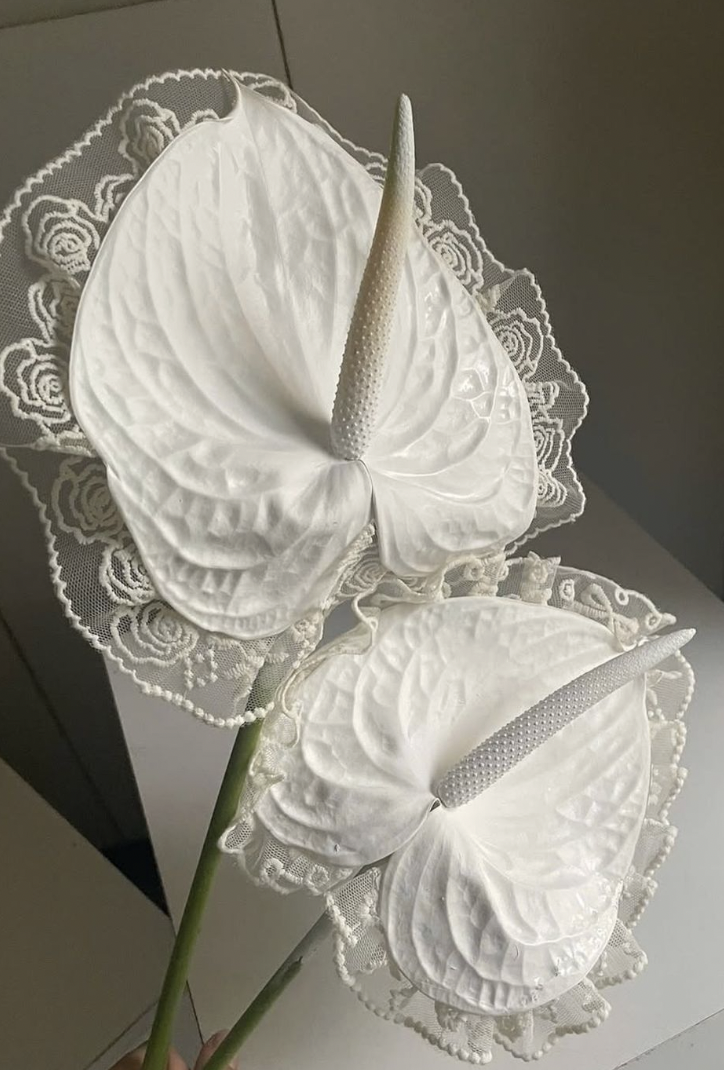 White Anthurium San Francisco Wedding Florist.png