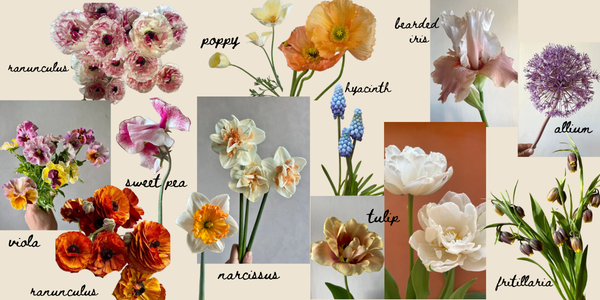 Spring Flowers in Season | A Bay Area Florist's Guide for Couples &amp; Planners