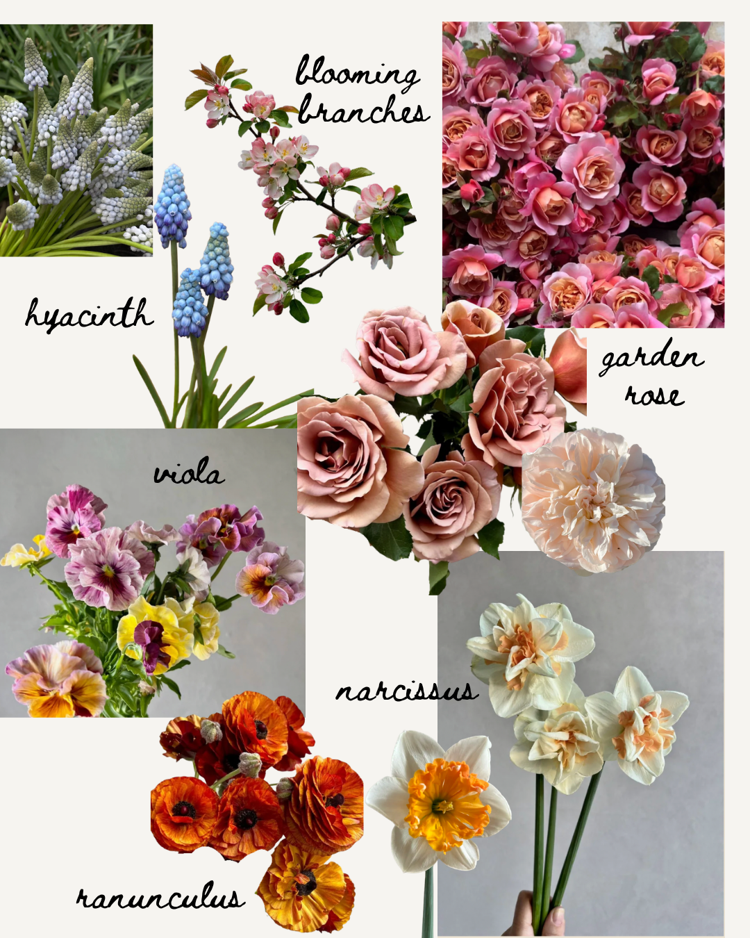 Spring-Flower-Guide-San-Francisco-Bay-Area Wedding-Spring-Wedding.png