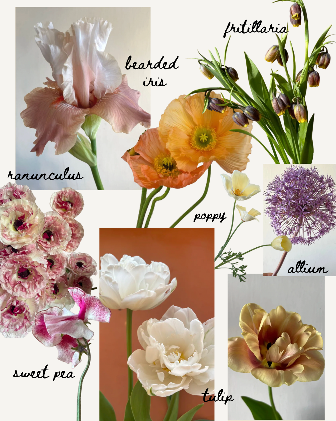 Spring-Flowers-Northern-California-Wedding-Spring-Wedding.png