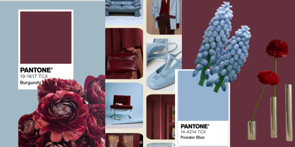 spring-palette-burgundy-powder-blue.png