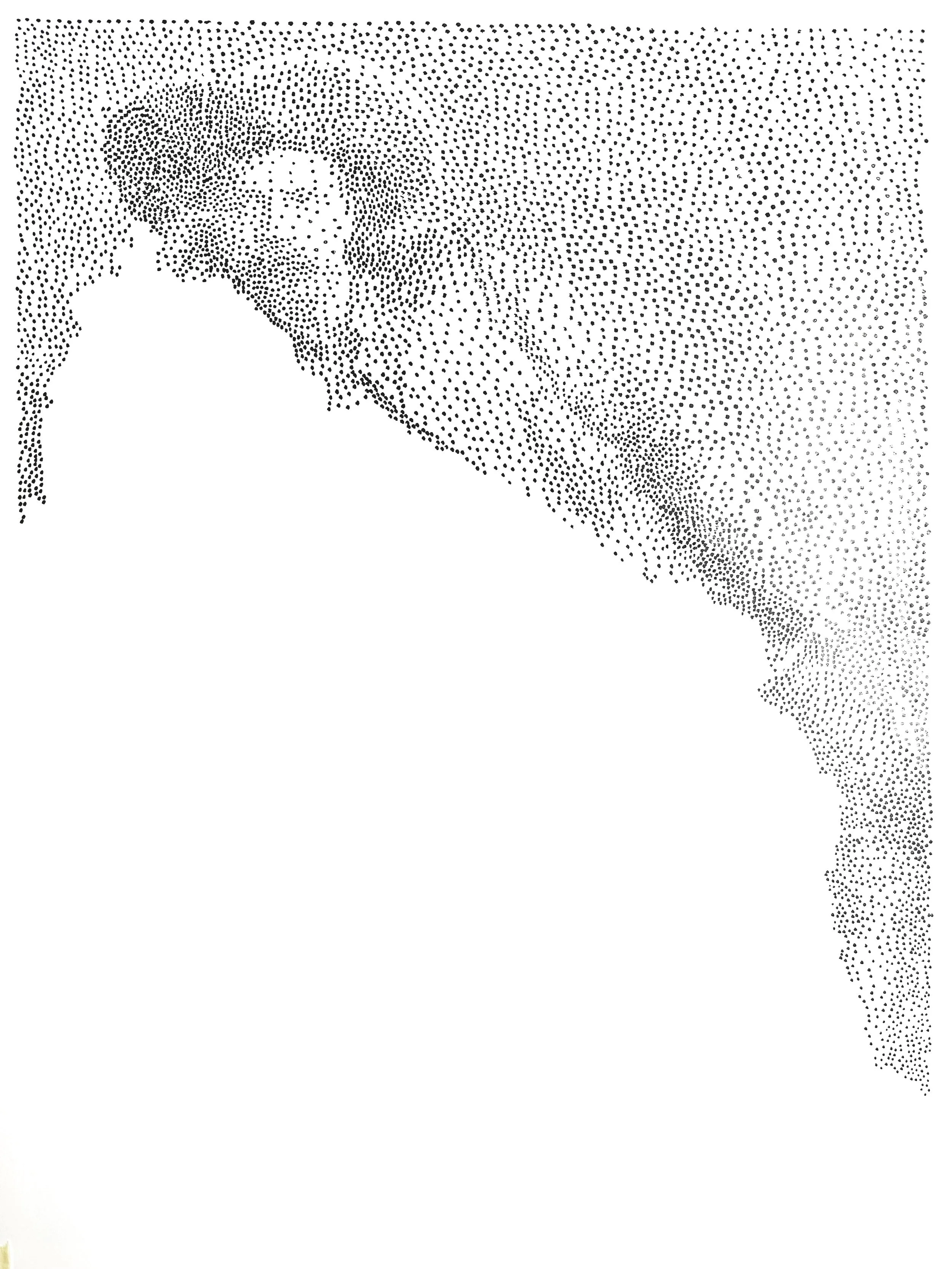  Patience is required for pointillism. 