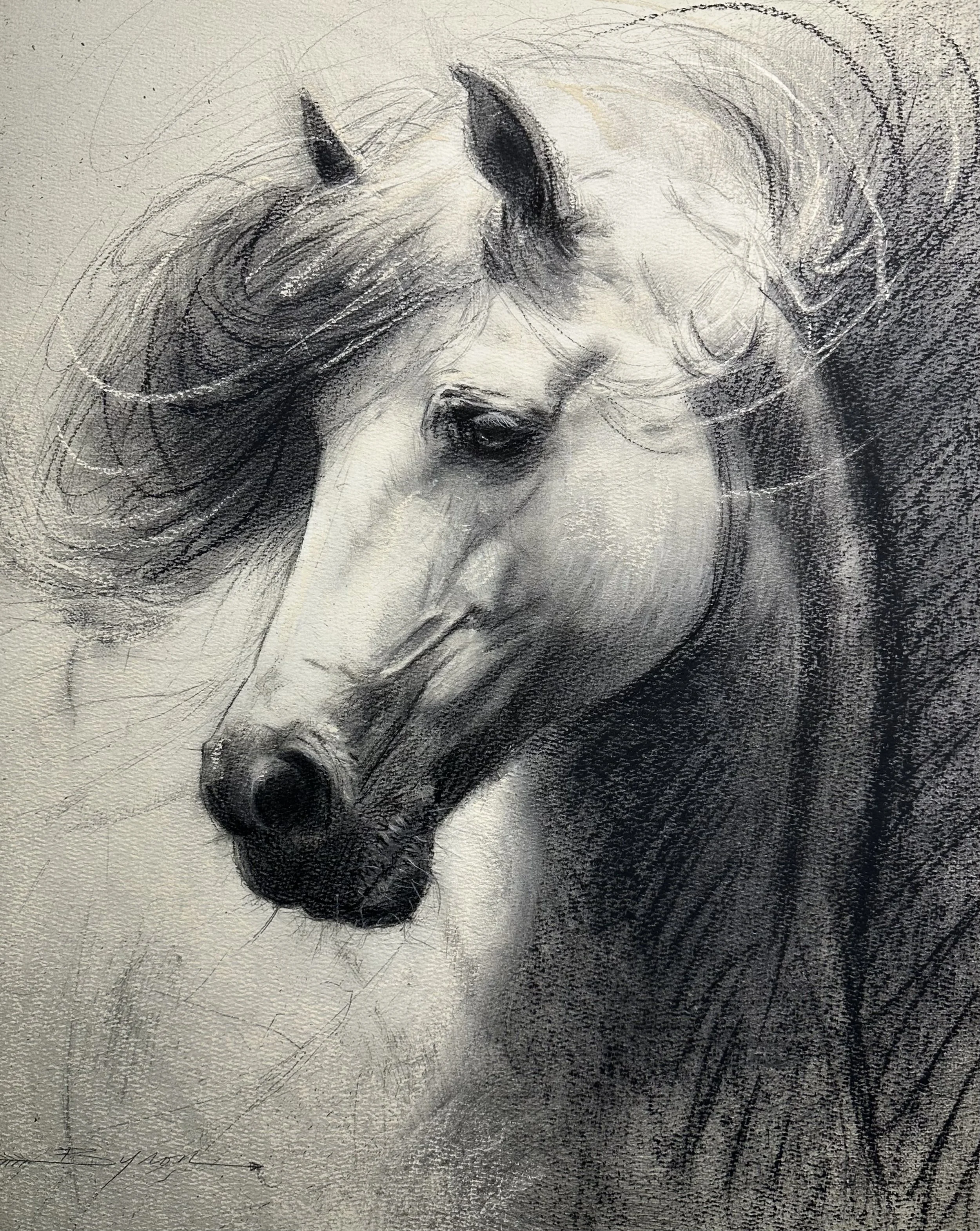 War Horse