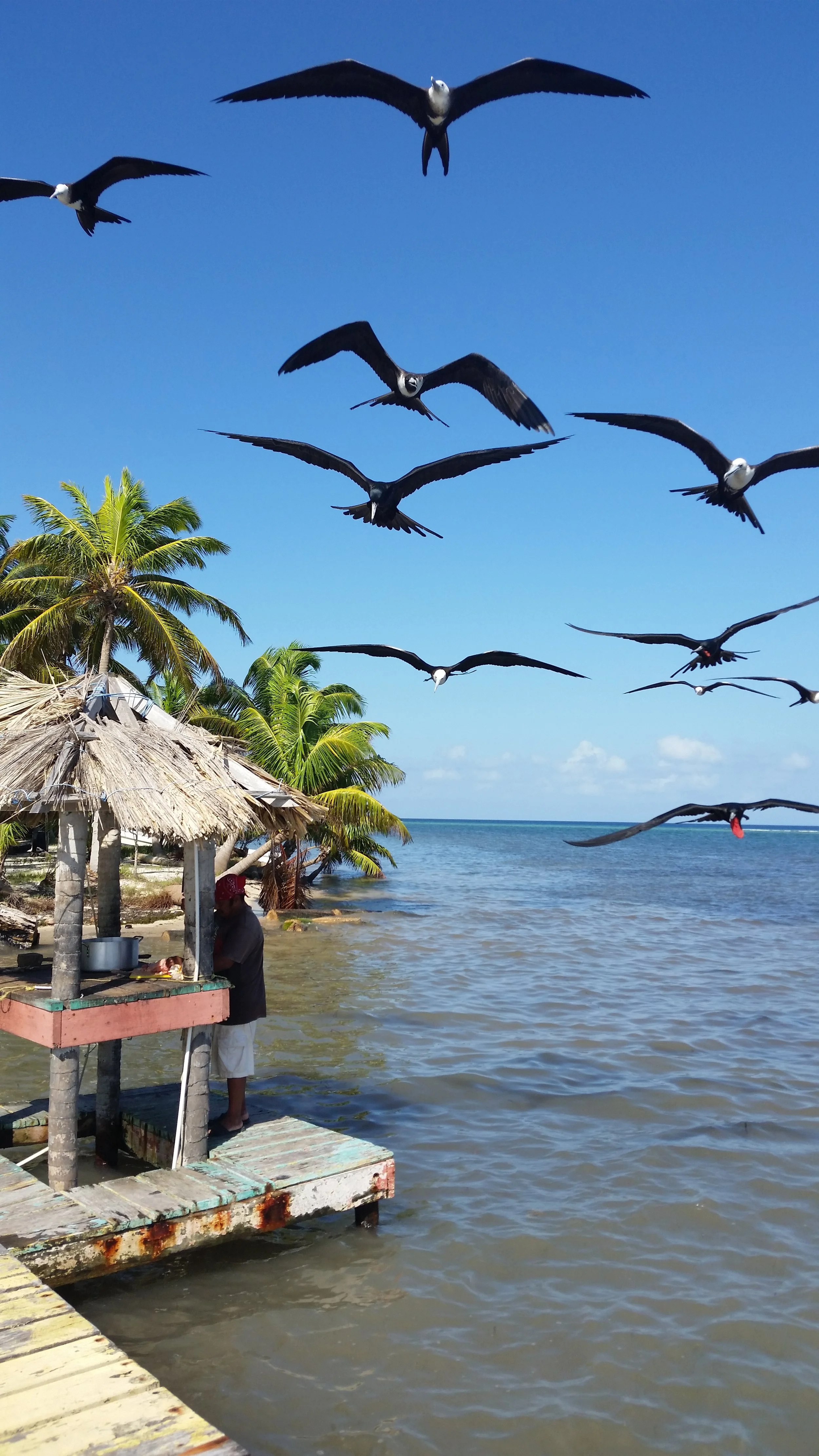 20181208_084515.jpg