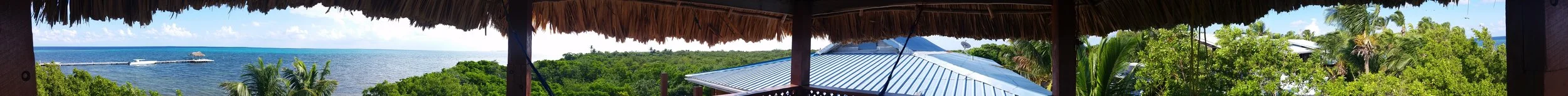 20181206_080244.jpg
